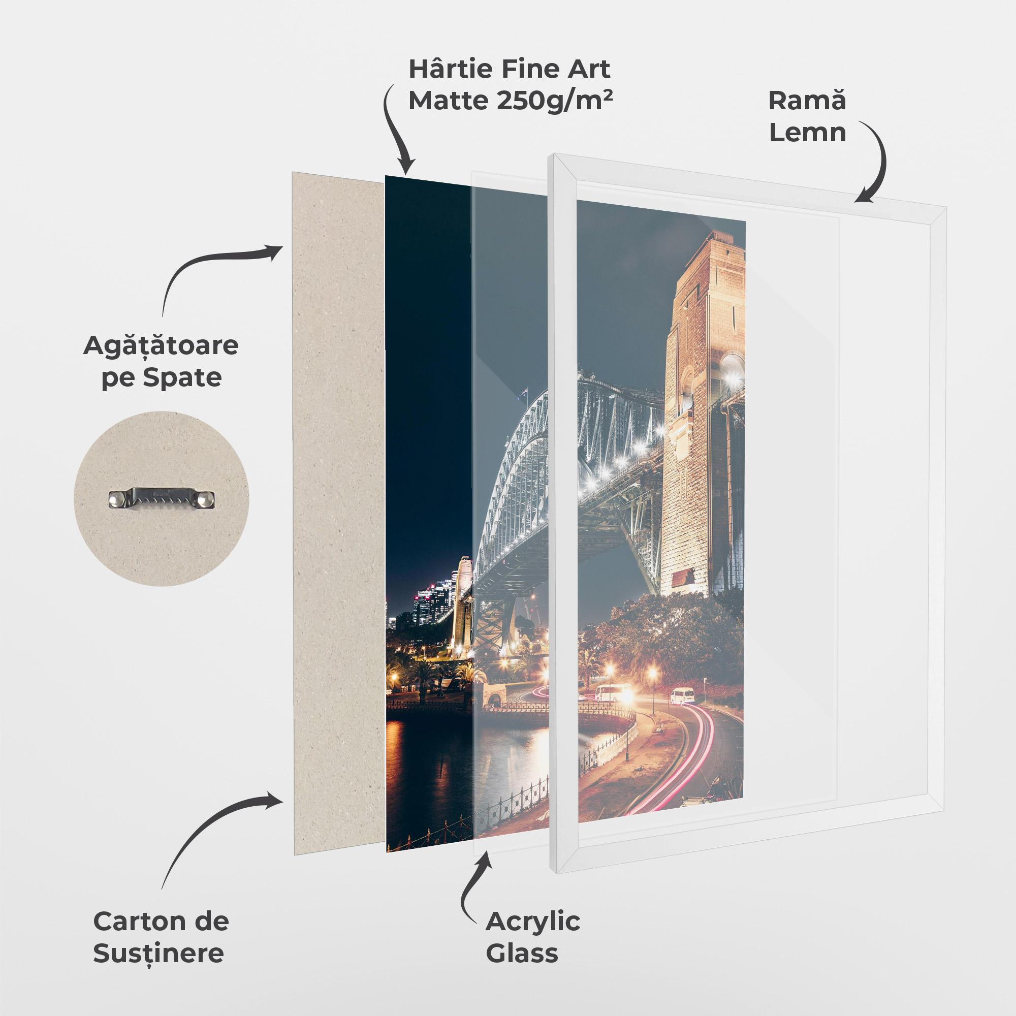 Poster Înrămat Sydney Harbour Bridge mockup 1