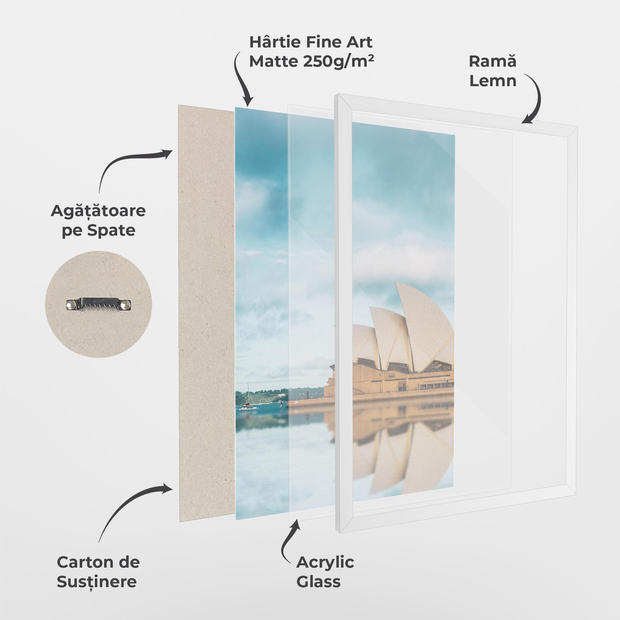 Poster Înrămat Sydney Water mockup 1