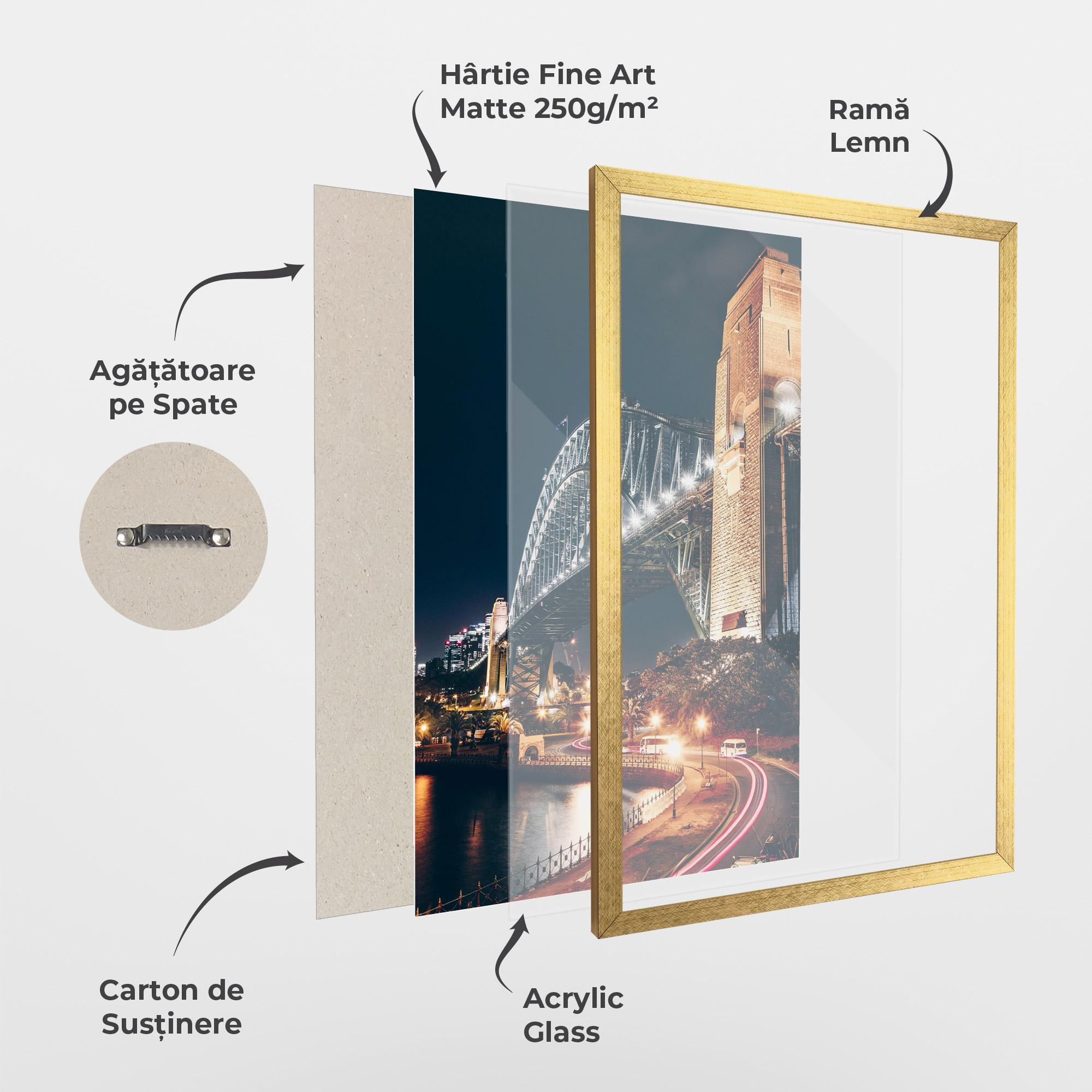 Poster Înrămat Sydney Harbour Bridge mockup 1