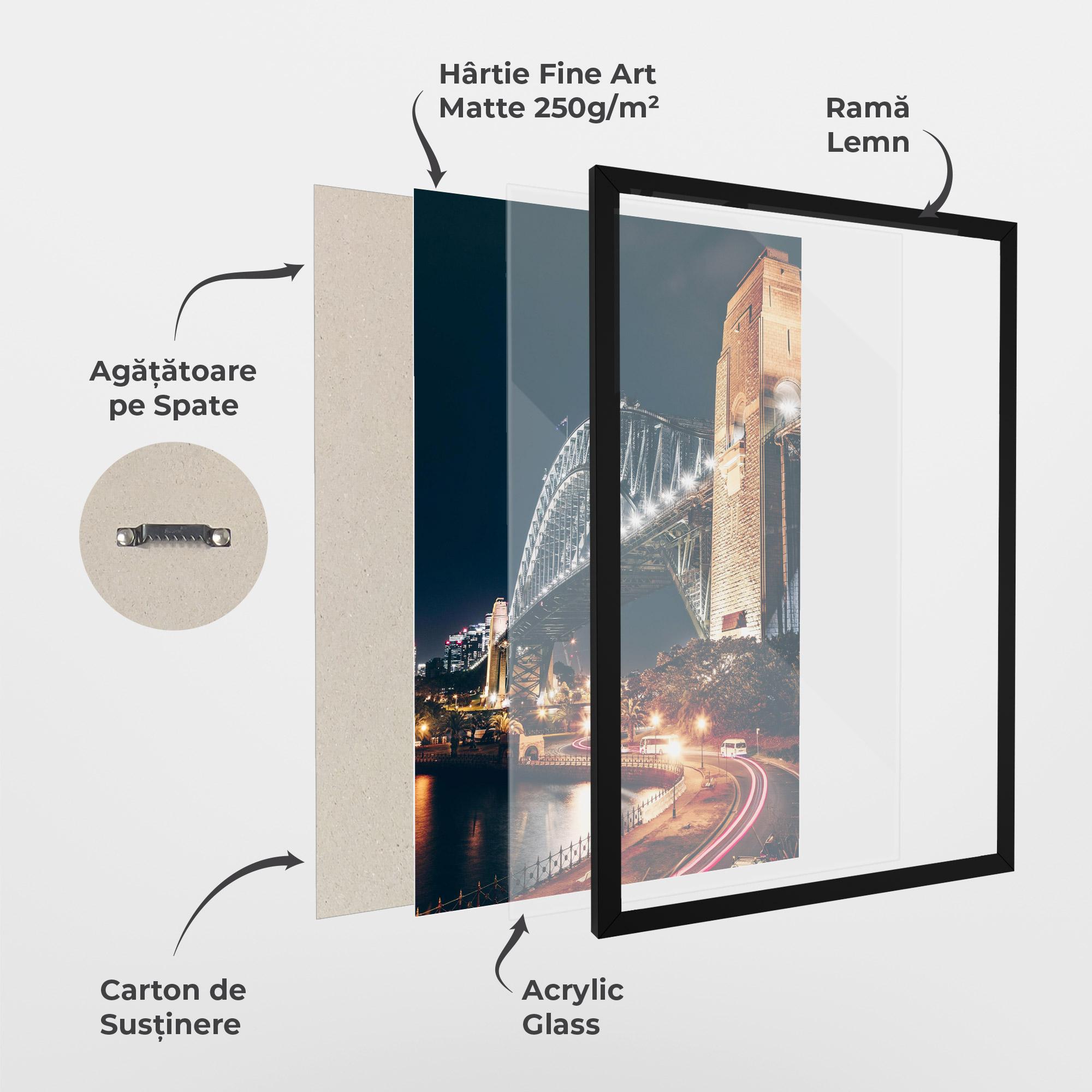 Poster Înrămat Sydney Harbour Bridge mockup 1