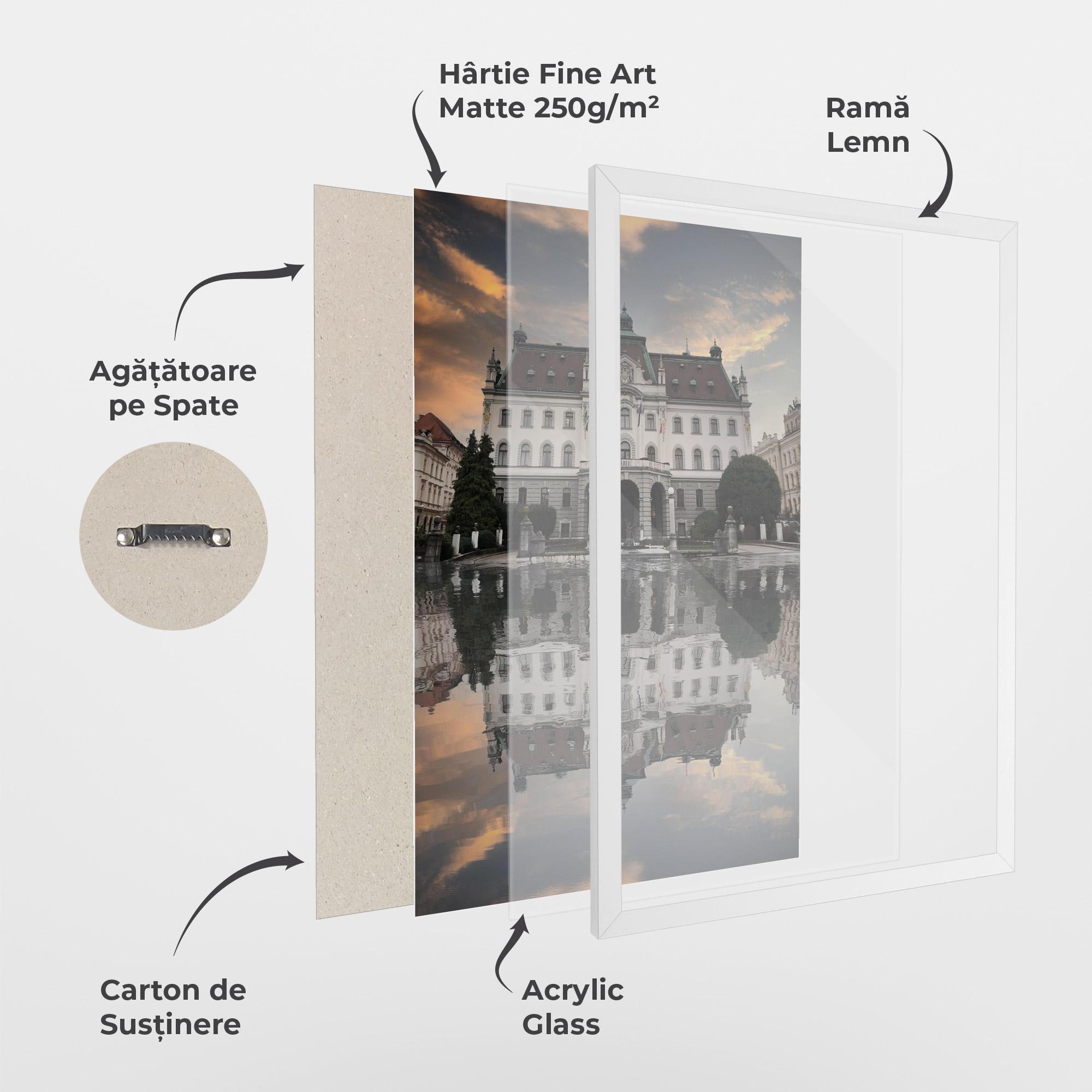 Poster Înrămat University Of Ljubliana mockup 1