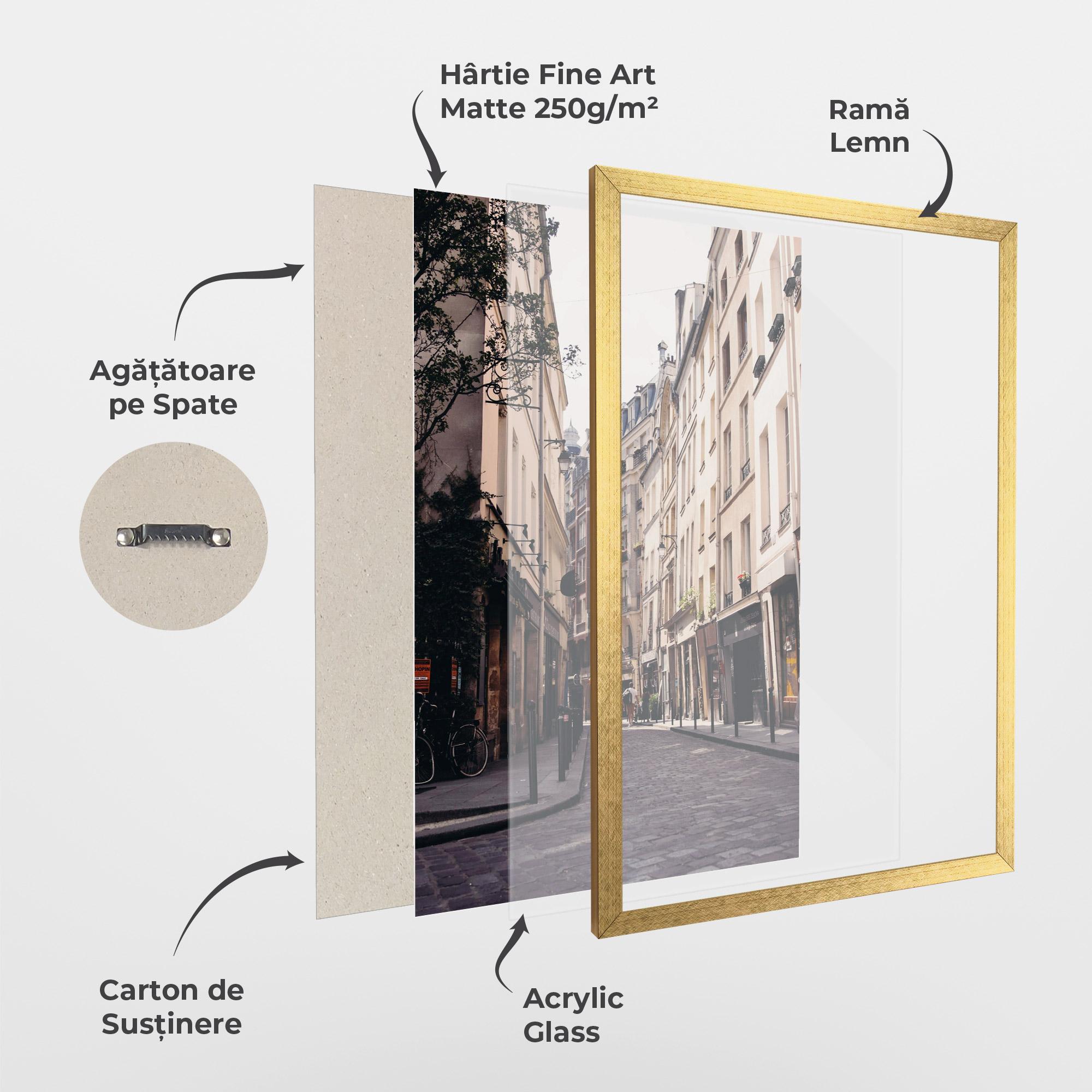 Poster Înrămat Paris Street mockup 1