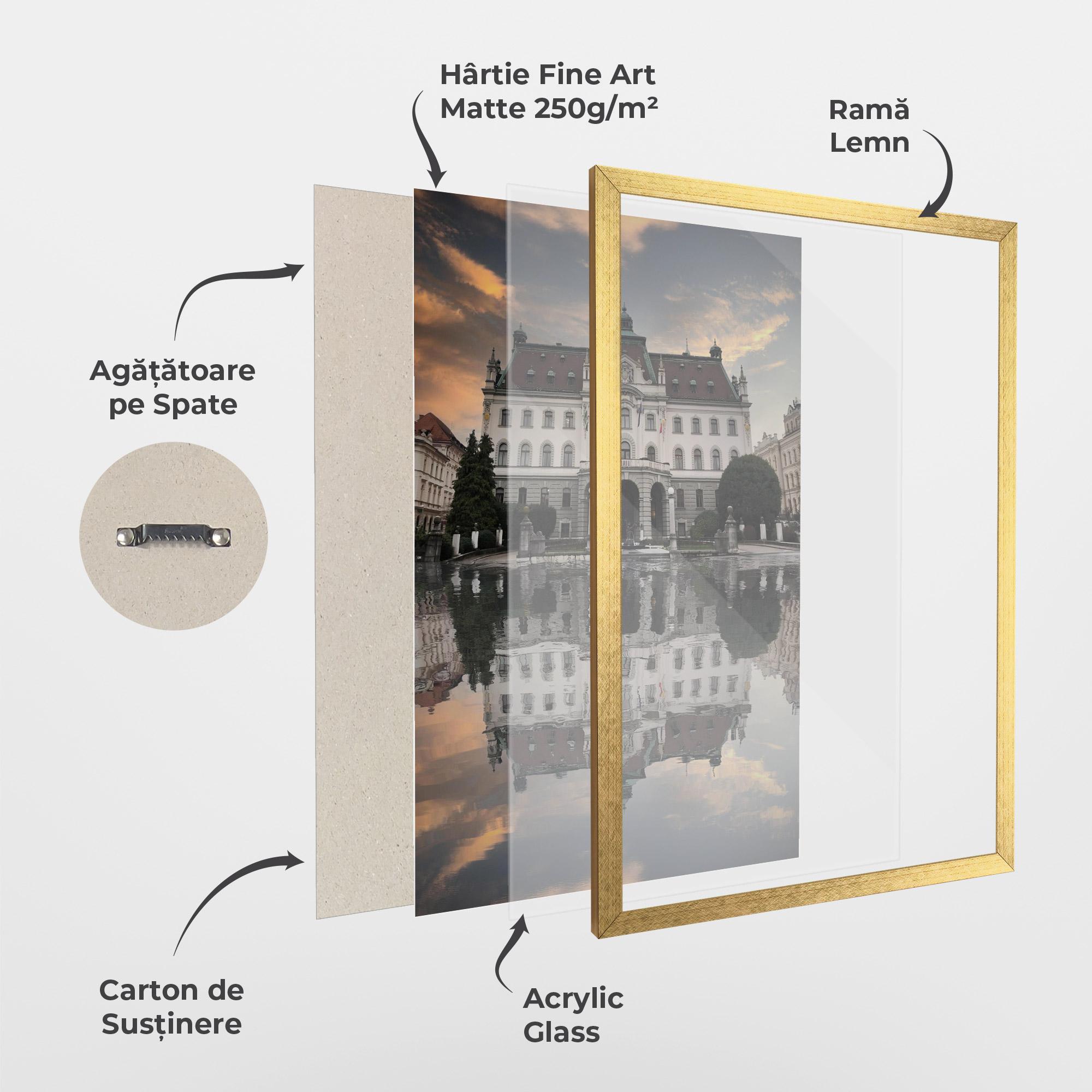 Poster Înrămat University Of Ljubliana mockup 1