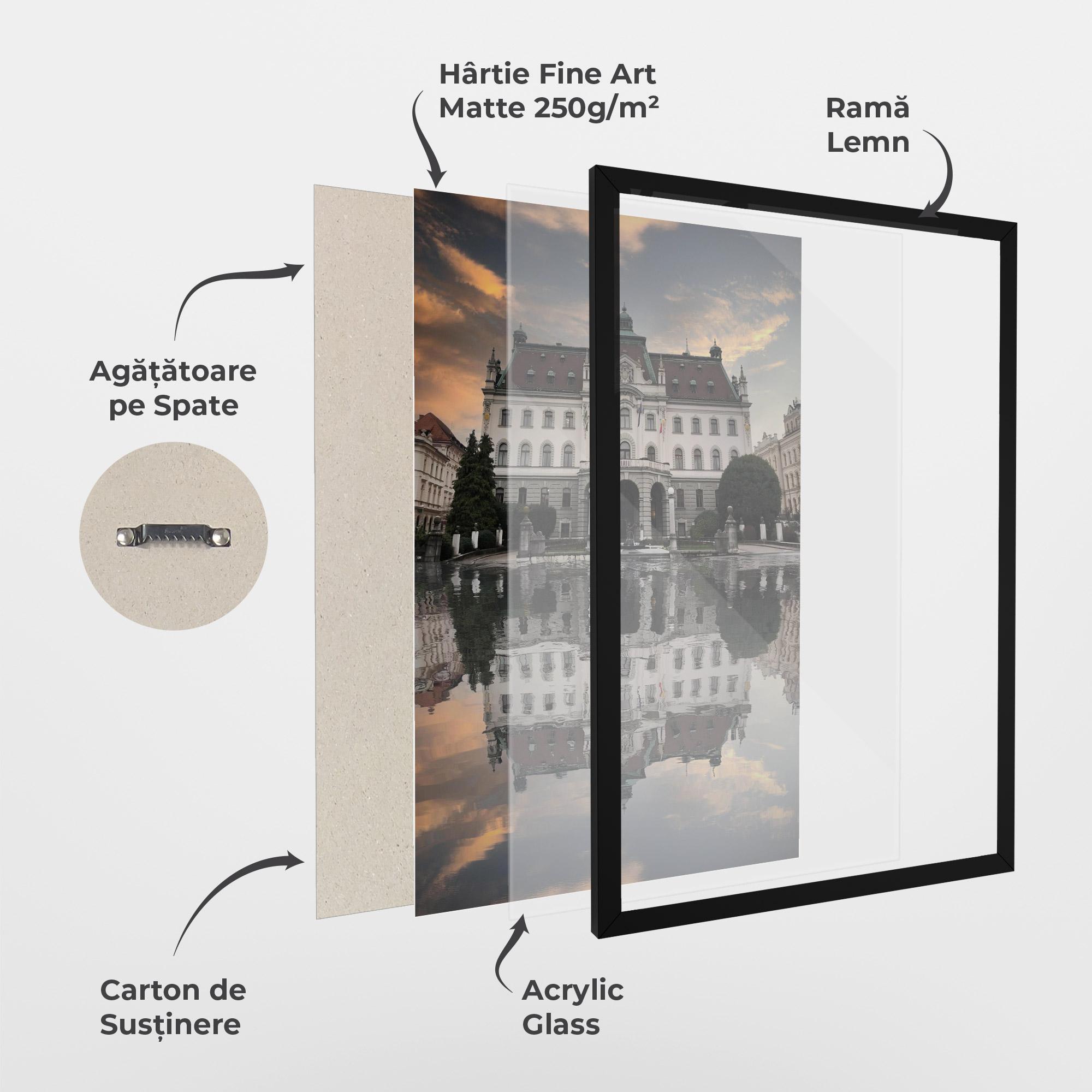 Poster Înrămat University Of Ljubliana mockup 1