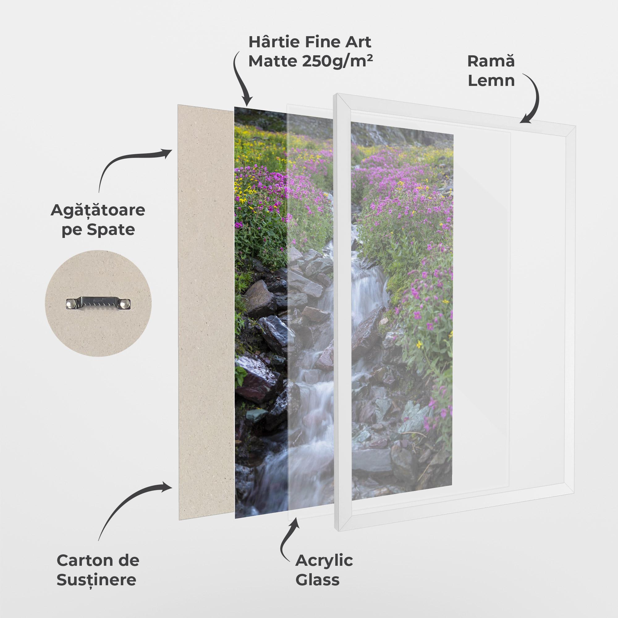 Poster Înrămat Water Falling Field mockup 1