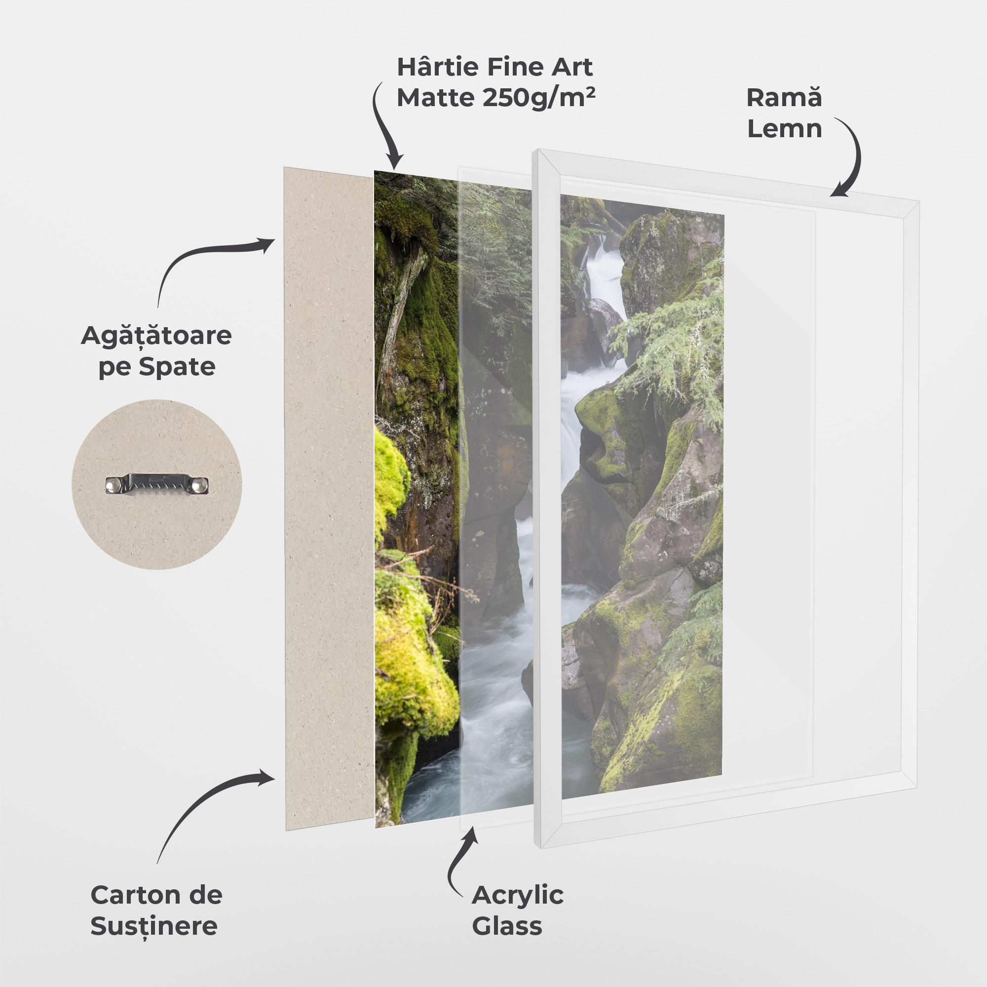 Poster Înrămat Water Falling Forest mockup 1