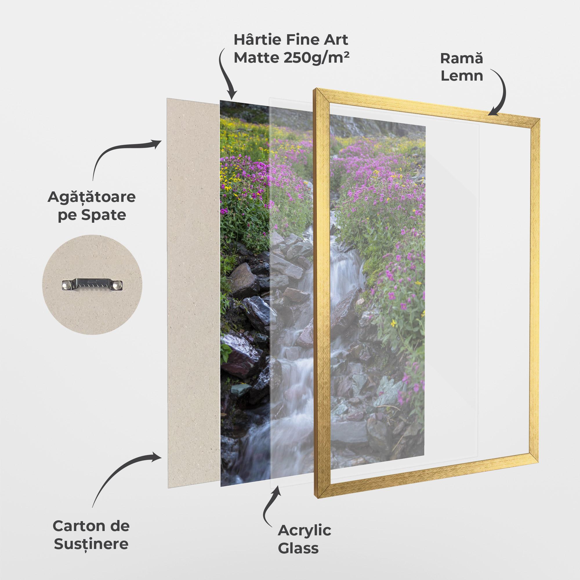 Poster Înrămat Water Falling Field mockup 1