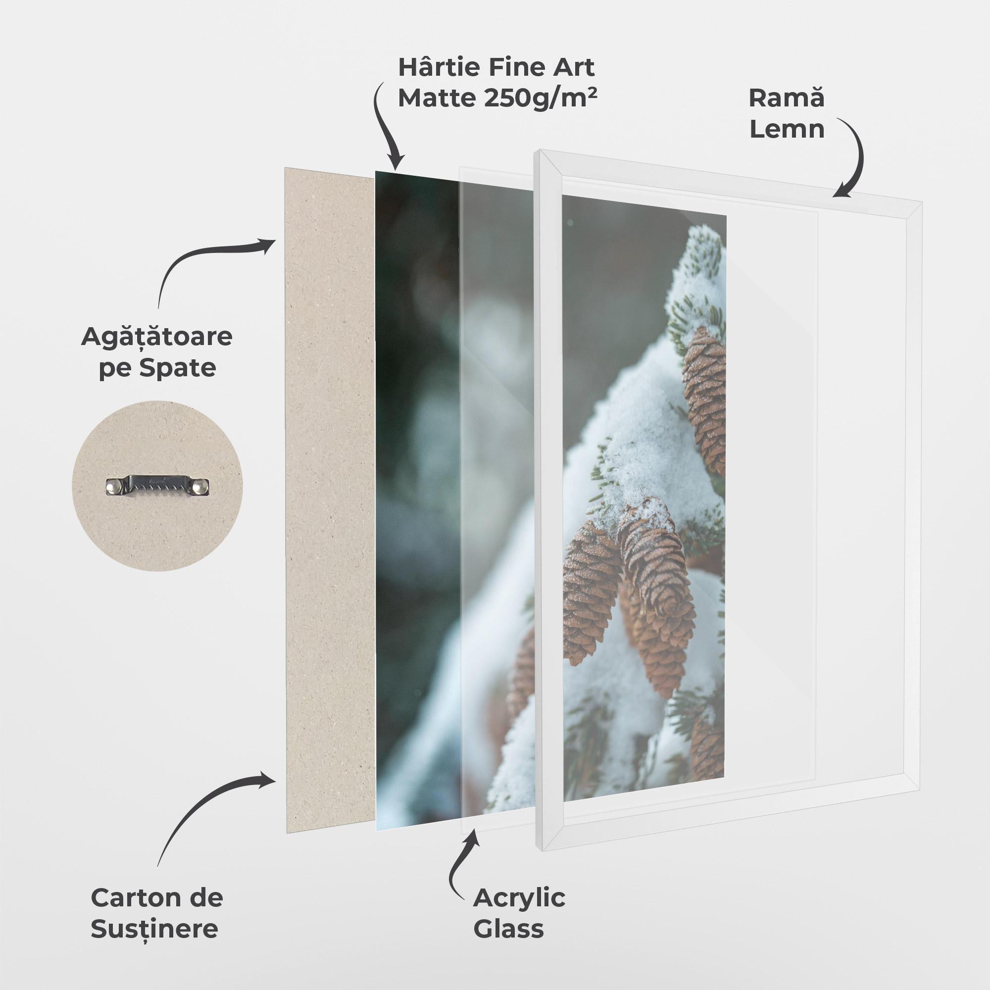 Poster Înrămat Pretty Snow Cones mockup 1