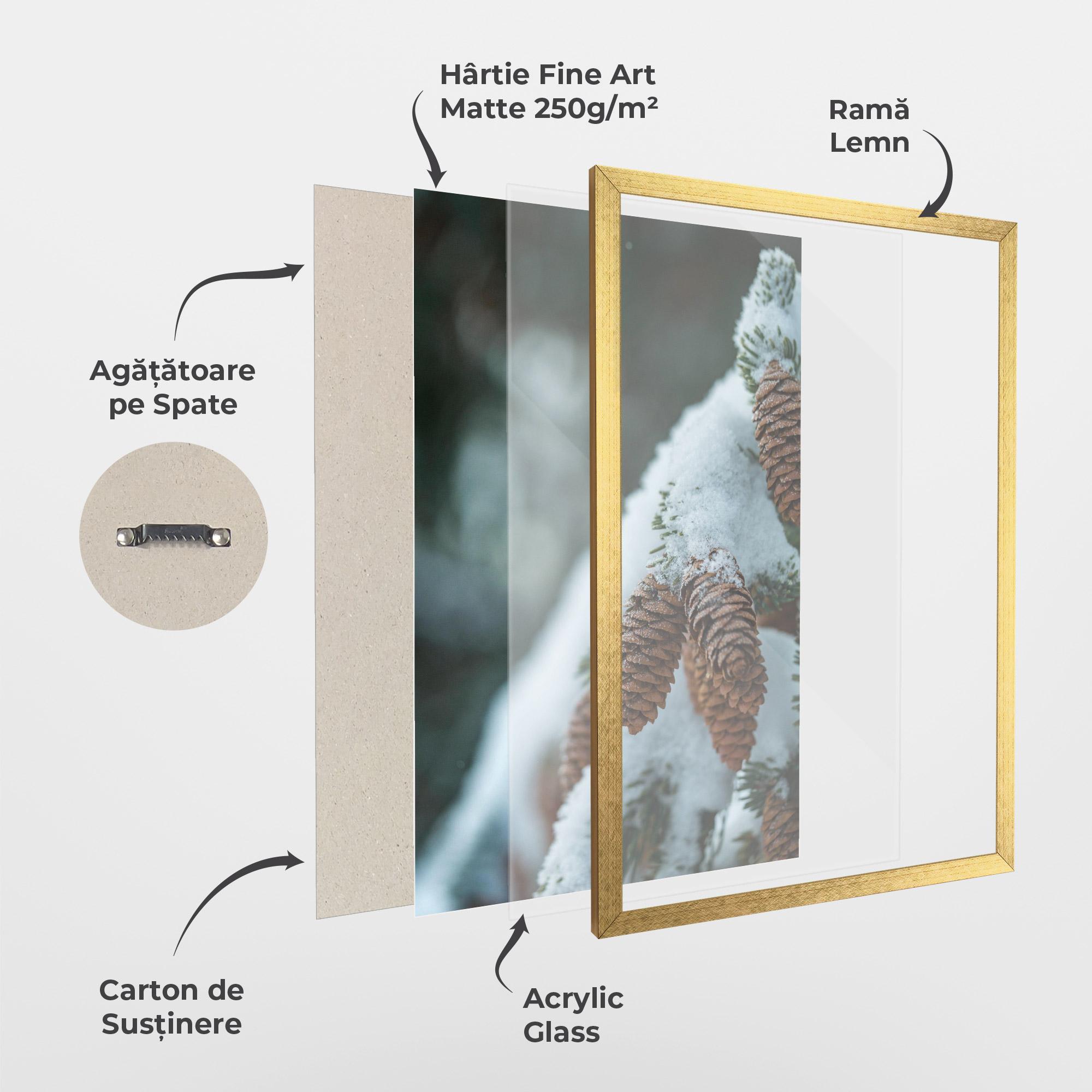 Poster Înrămat Pretty Snow Cones mockup 1