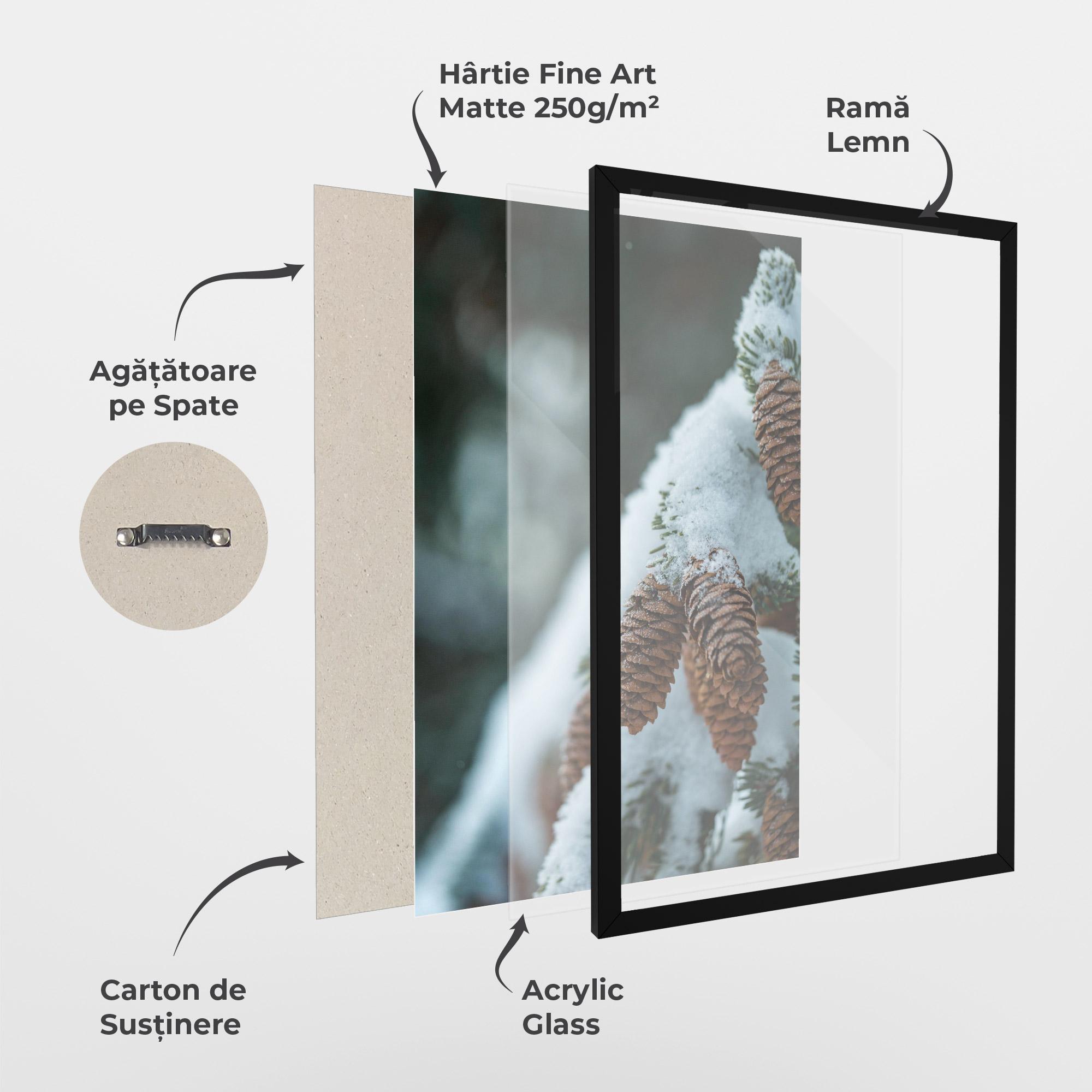 Poster Înrămat Pretty Snow Cones mockup 1