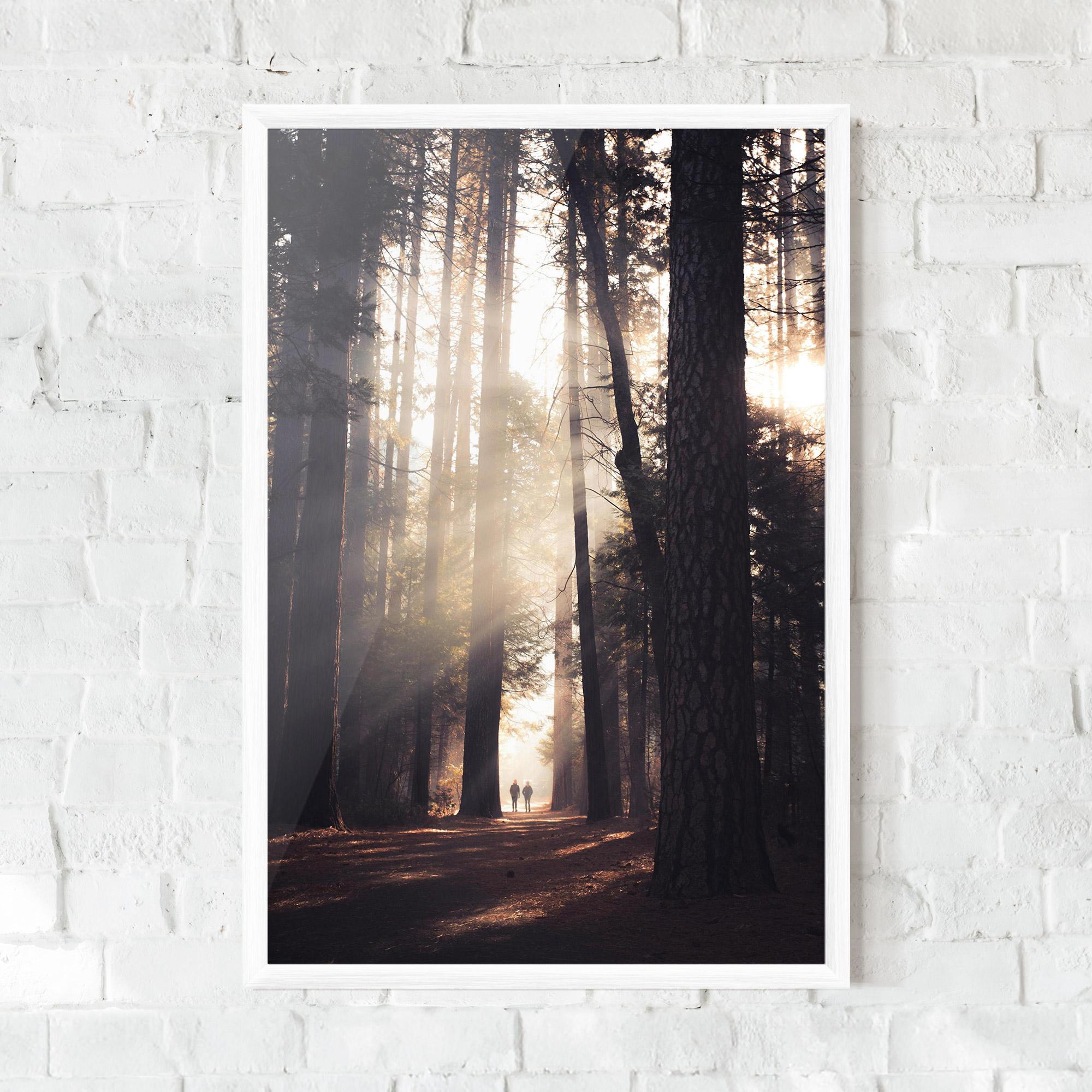 Poster Înrămat Foggy Couple Forest mockup 0
