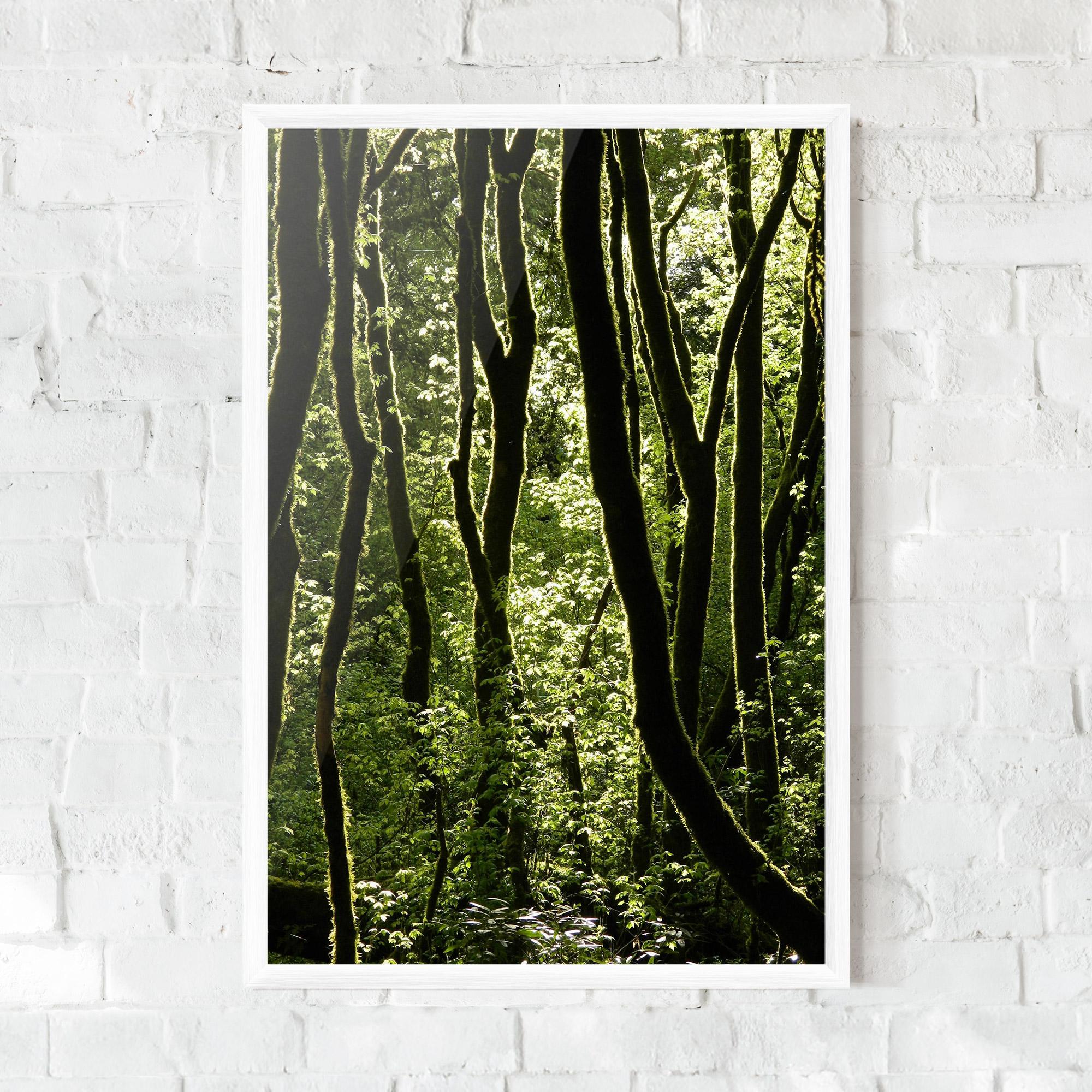 Poster Înrămat Forest Black Trees mockup 0