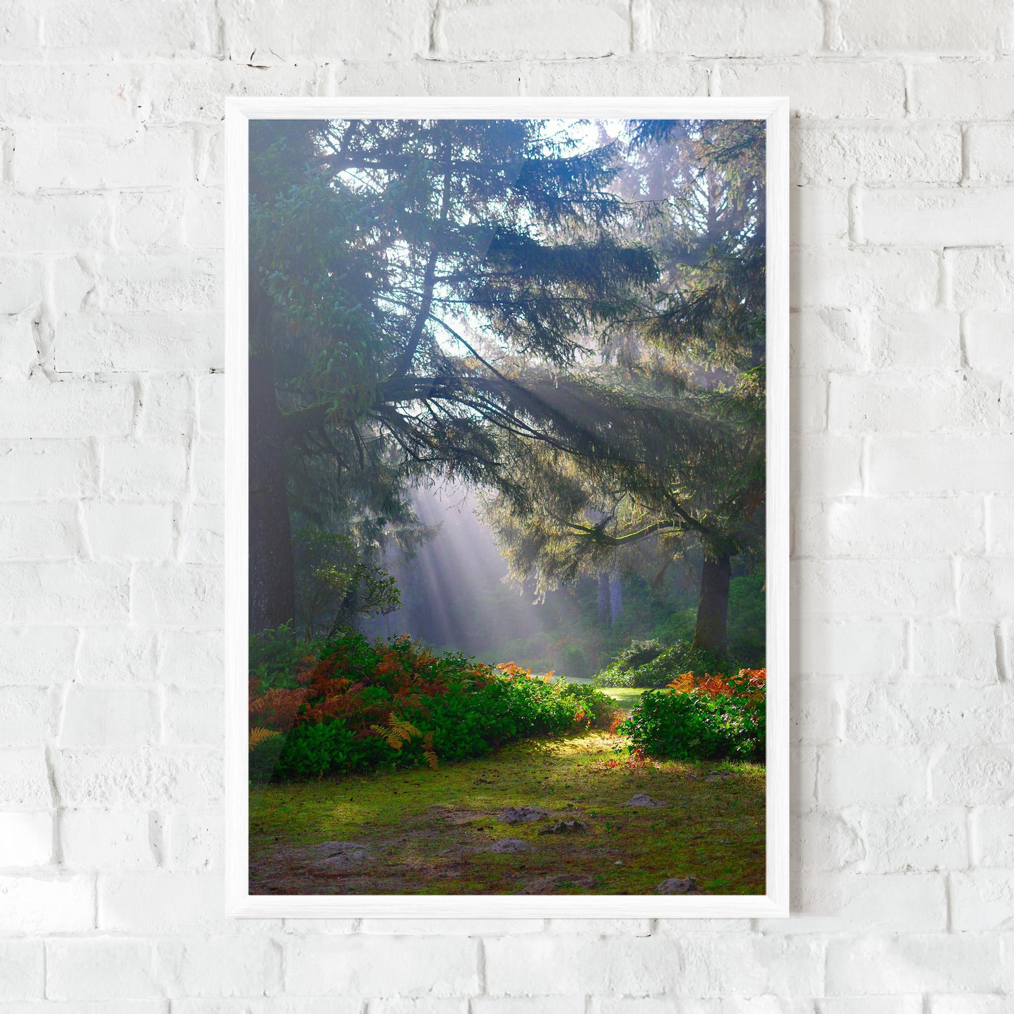 Poster Înrămat Forest Light mockup 0