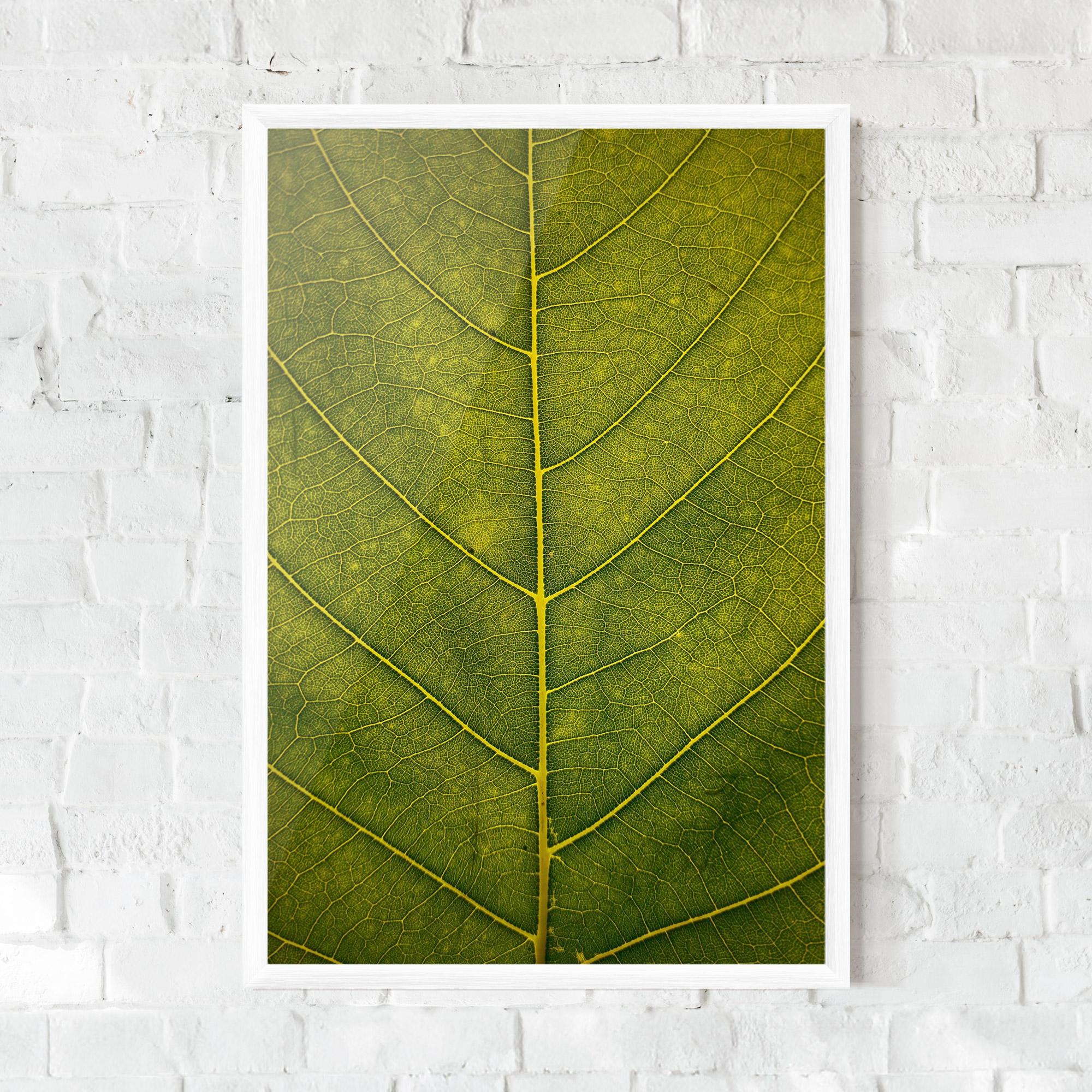 Poster Înrămat Leaf Closeup Forest mockup 0