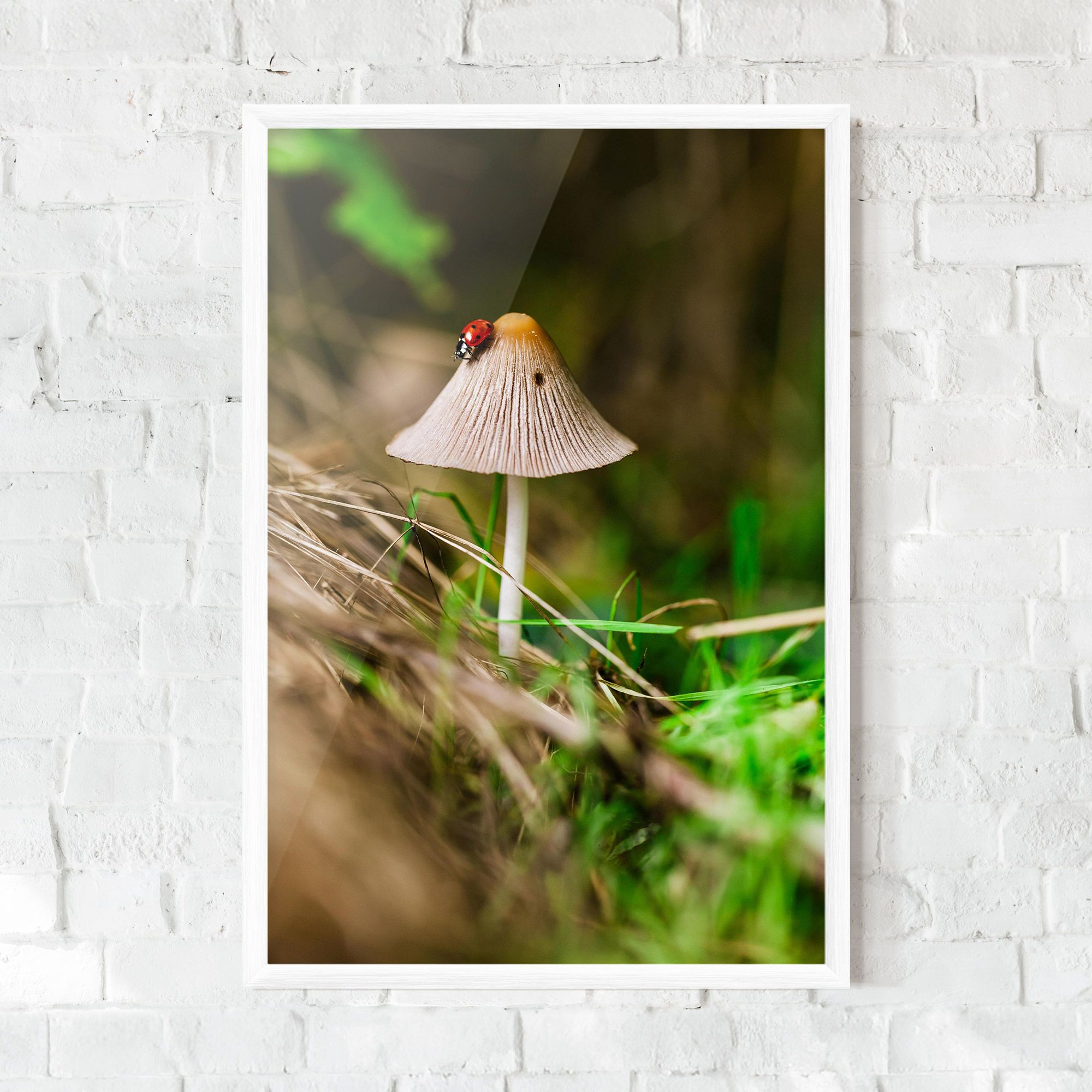 Mushroom Forest mockup 0