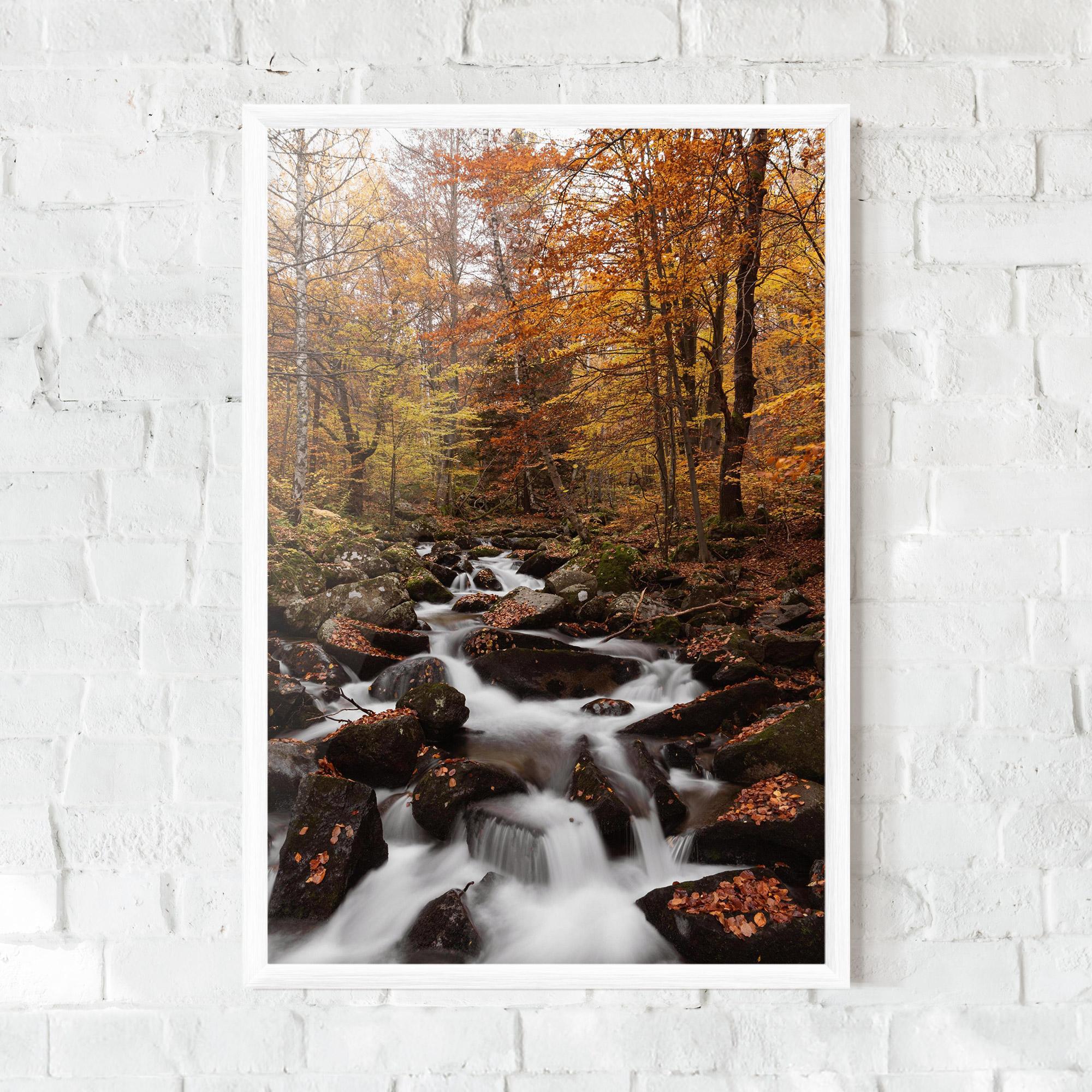 Poster Înrămat River Forest View mockup 0
