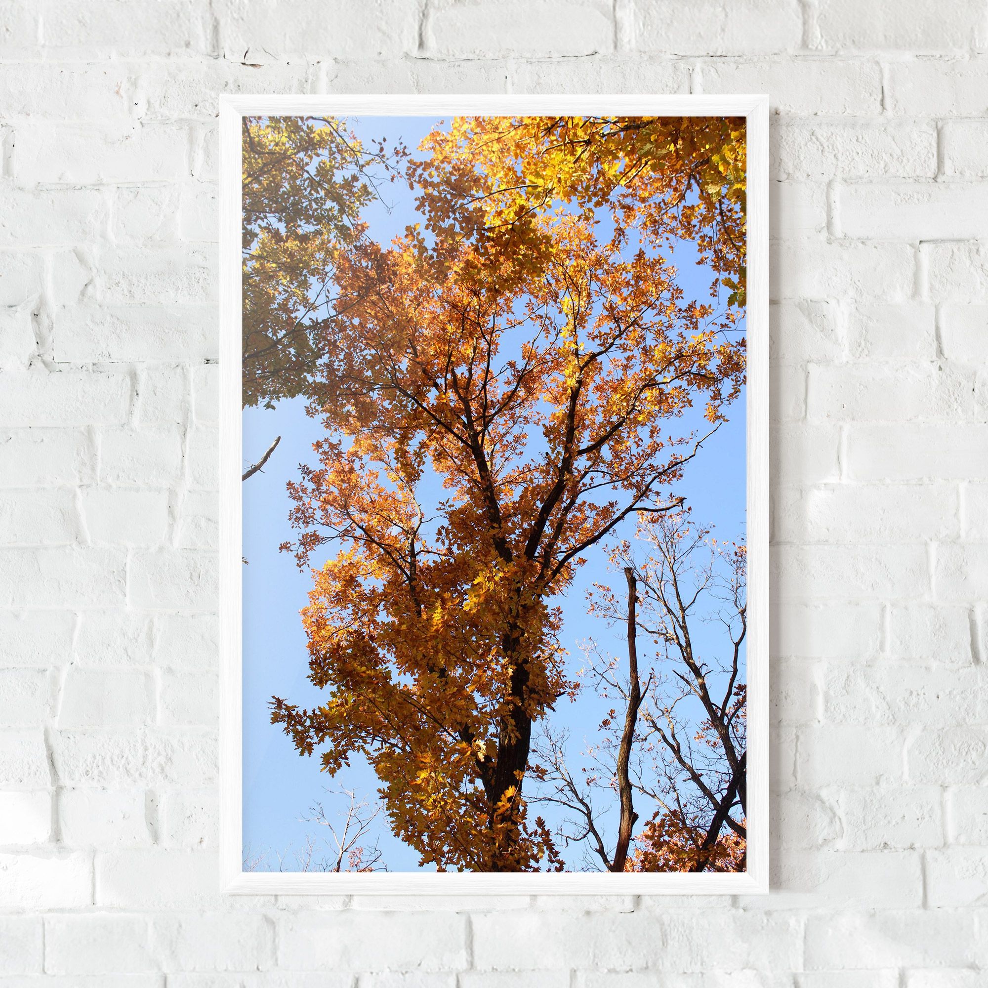 Yellow Tree Forest mockup 0