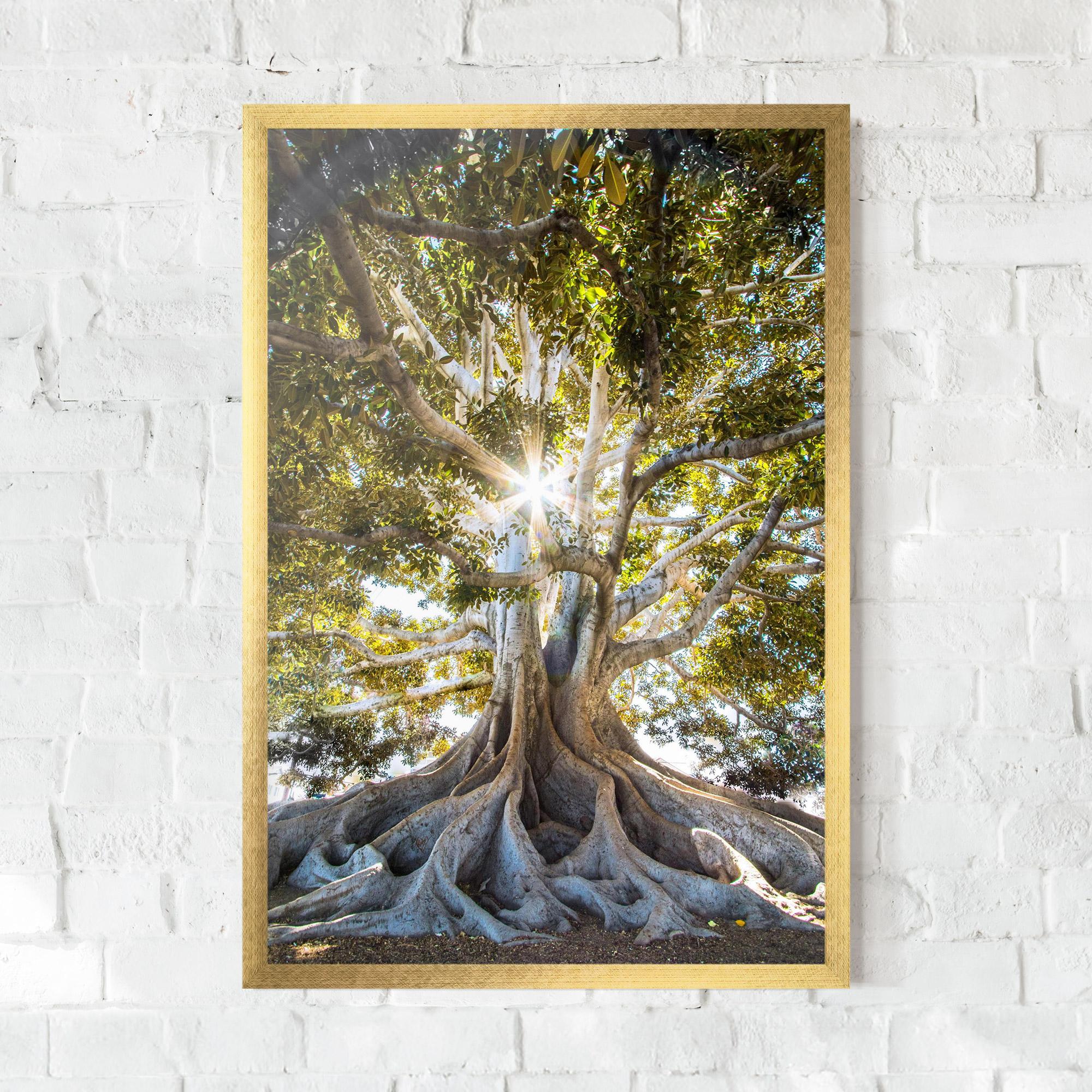 Poster Înrămat Big Old Tree mockup 0