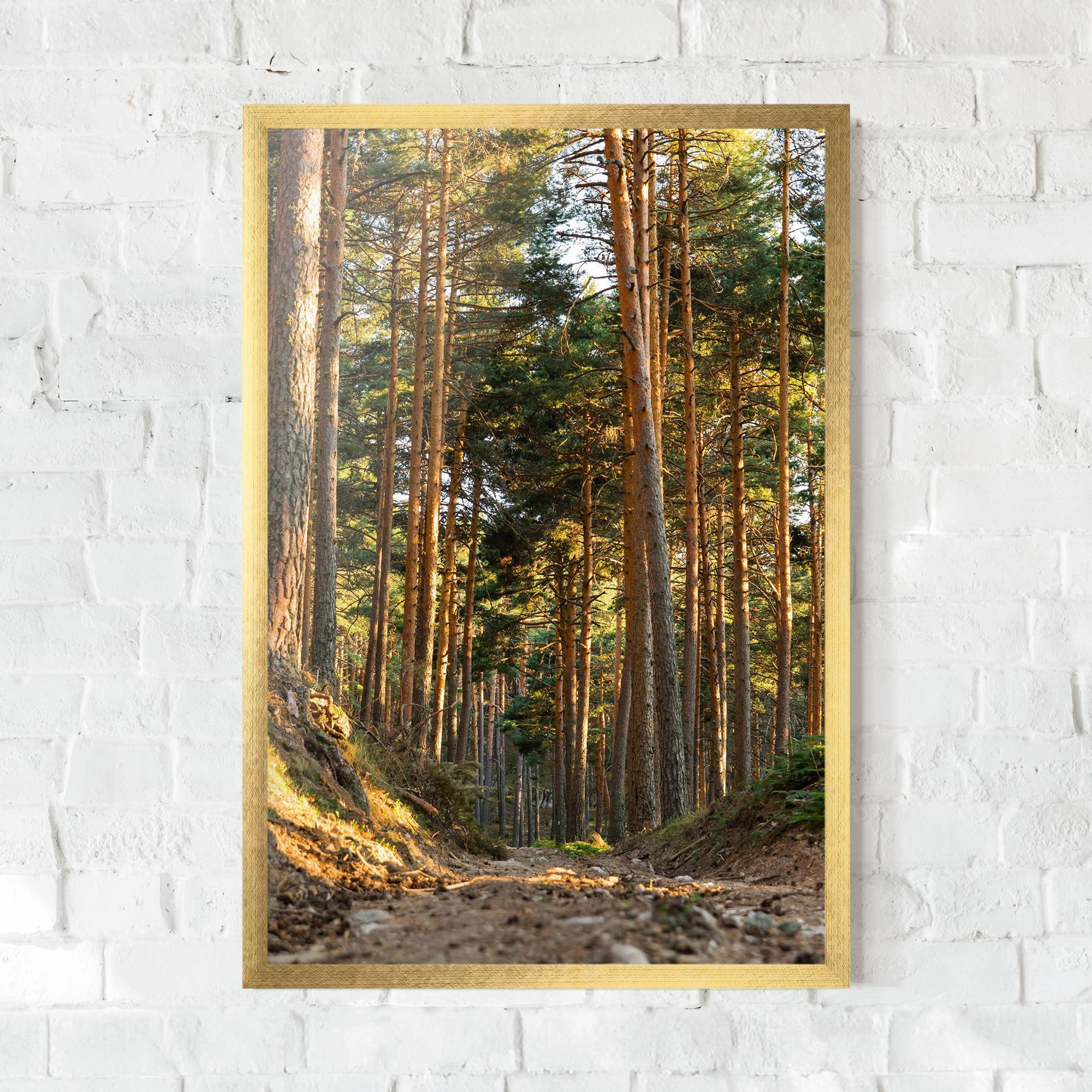 Poster Înrămat Big Trees Forest mockup 0