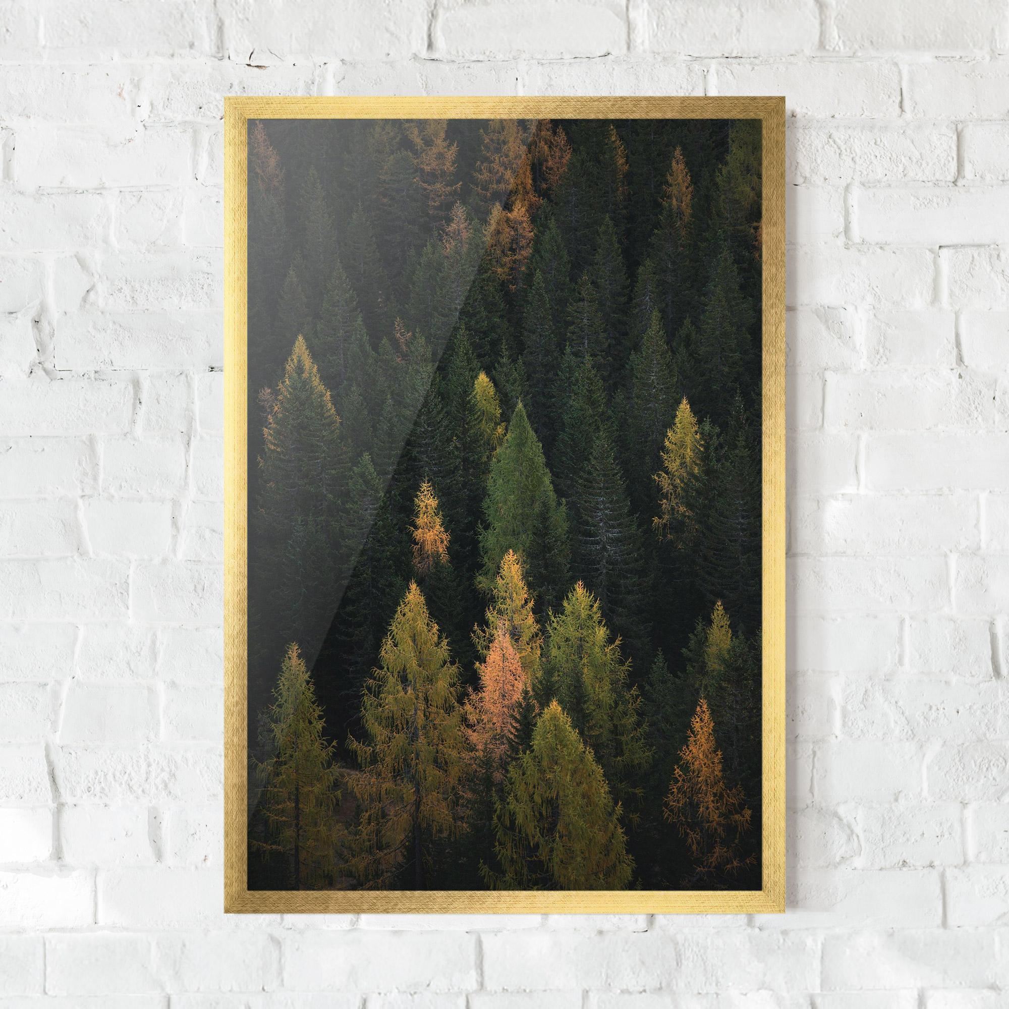 Poster Înrămat Color Mix Tree mockup 0