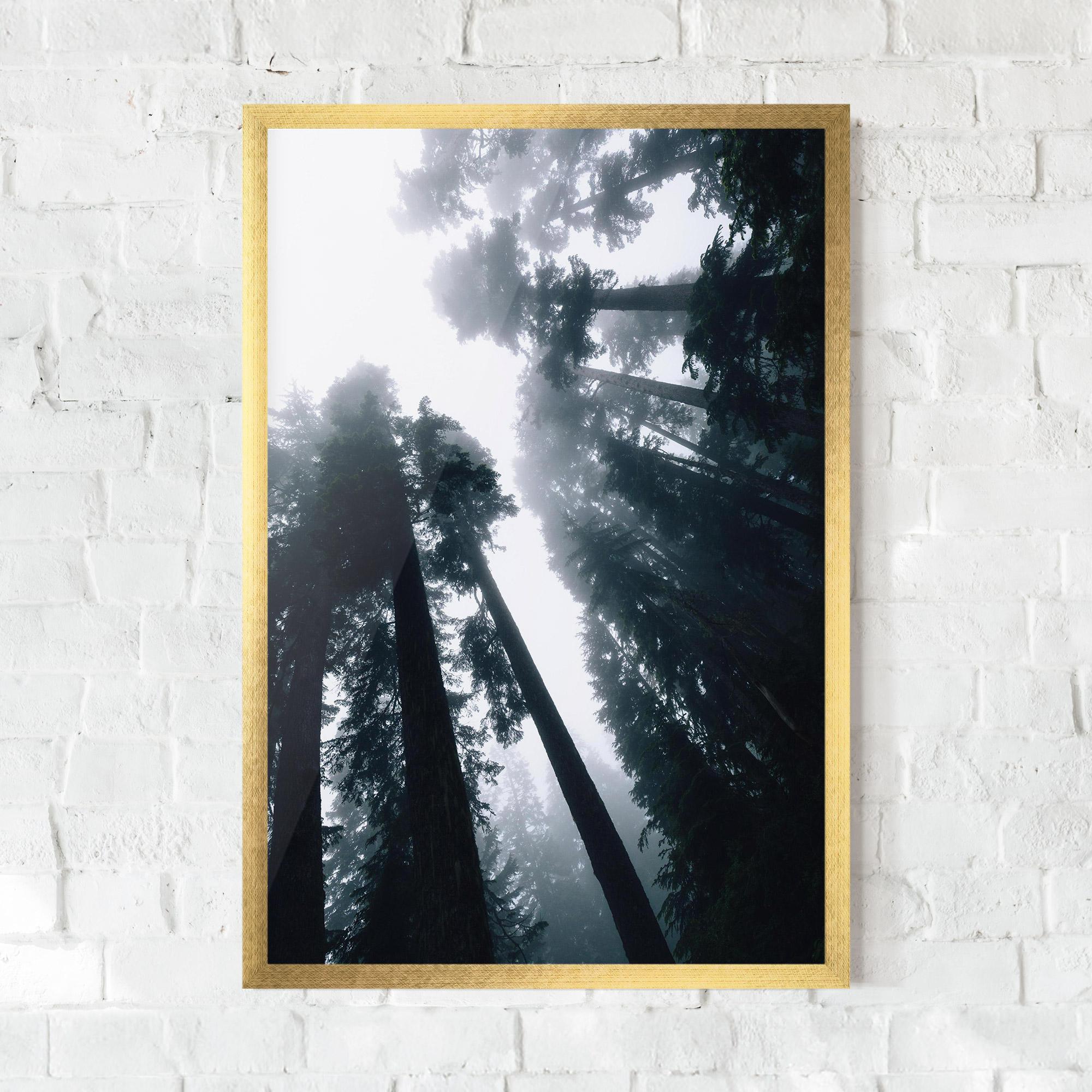 Poster Înrămat Foggy Big Trees mockup 0