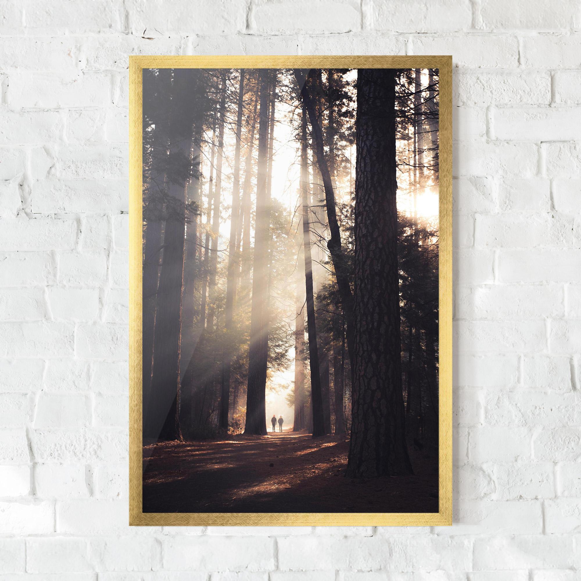 Poster Înrămat Foggy Couple Forest mockup 0
