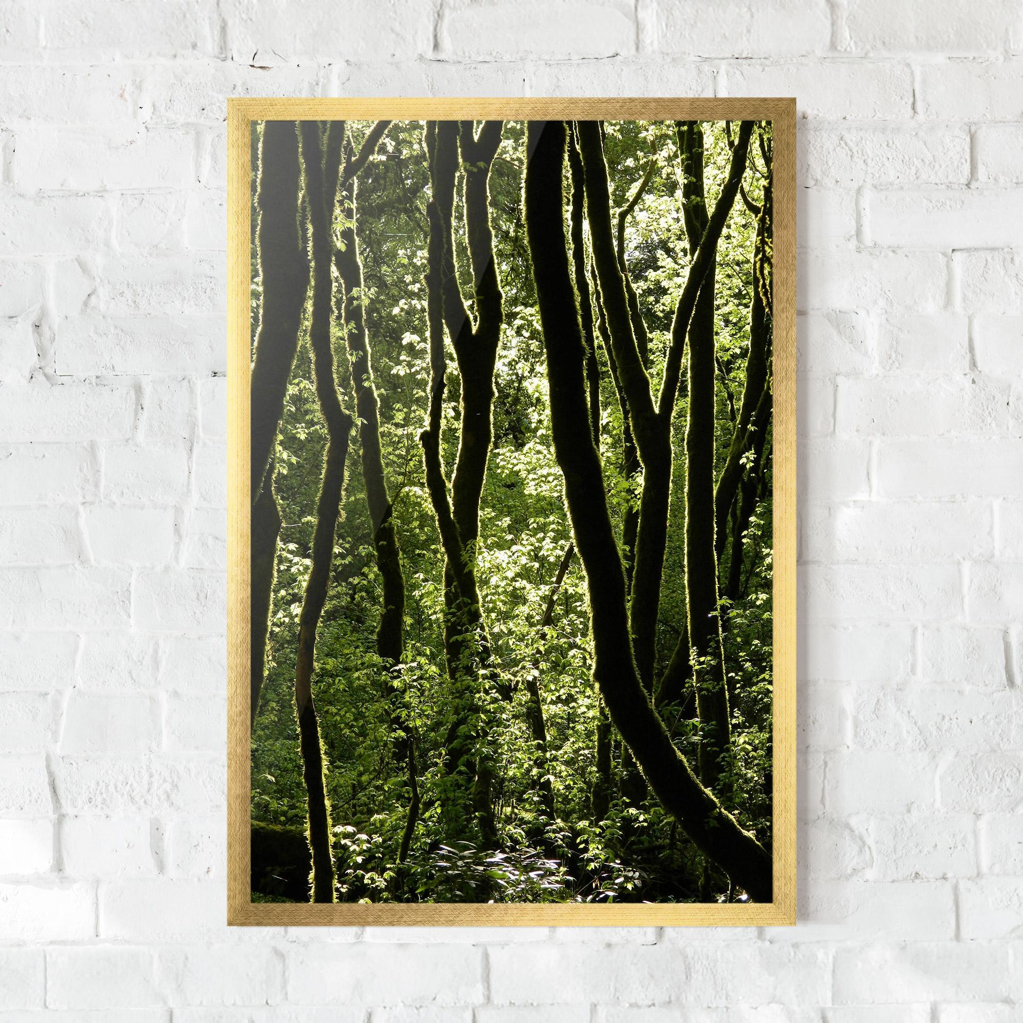 Poster Înrămat Forest Black Trees mockup 0