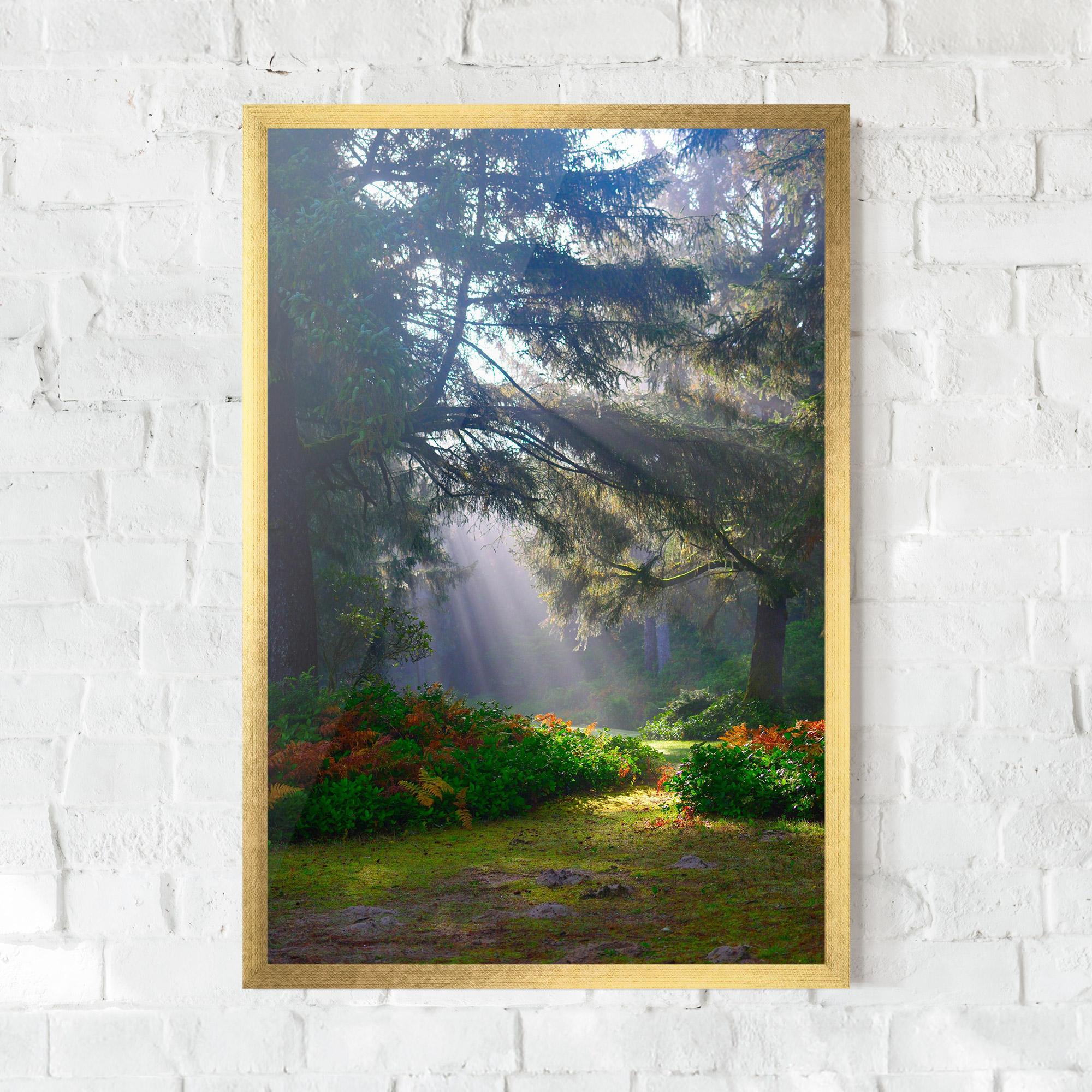 Poster Înrămat Forest Light mockup 0