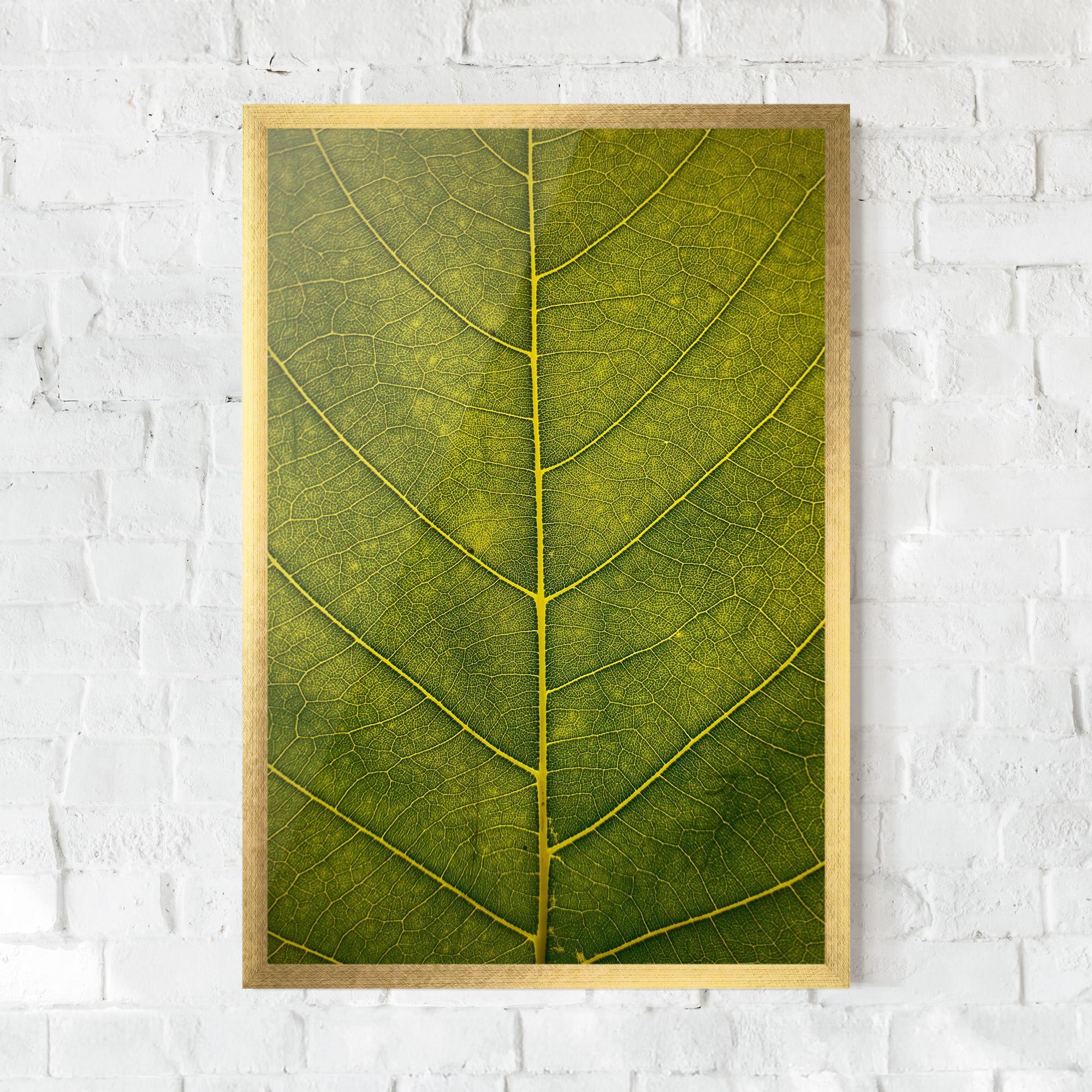 Poster Înrămat Leaf Closeup Forest mockup 0