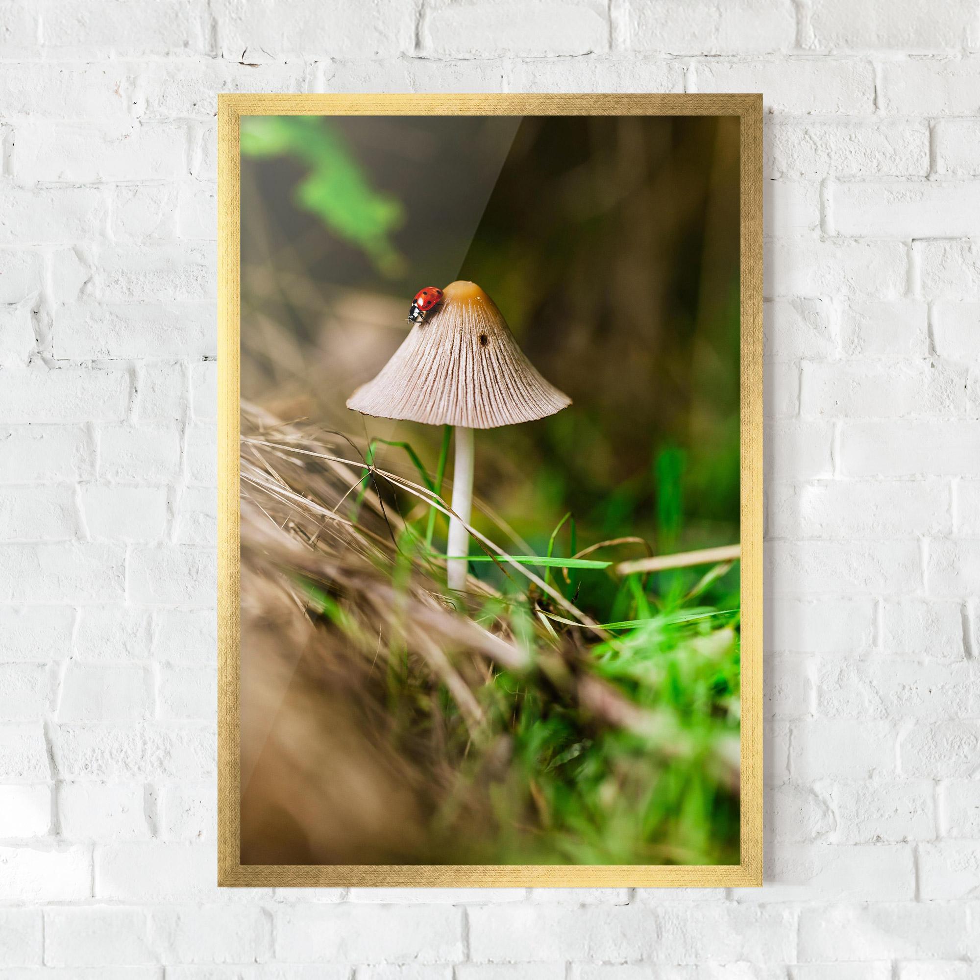 Poster Înrămat Mushroom Forest mockup 0