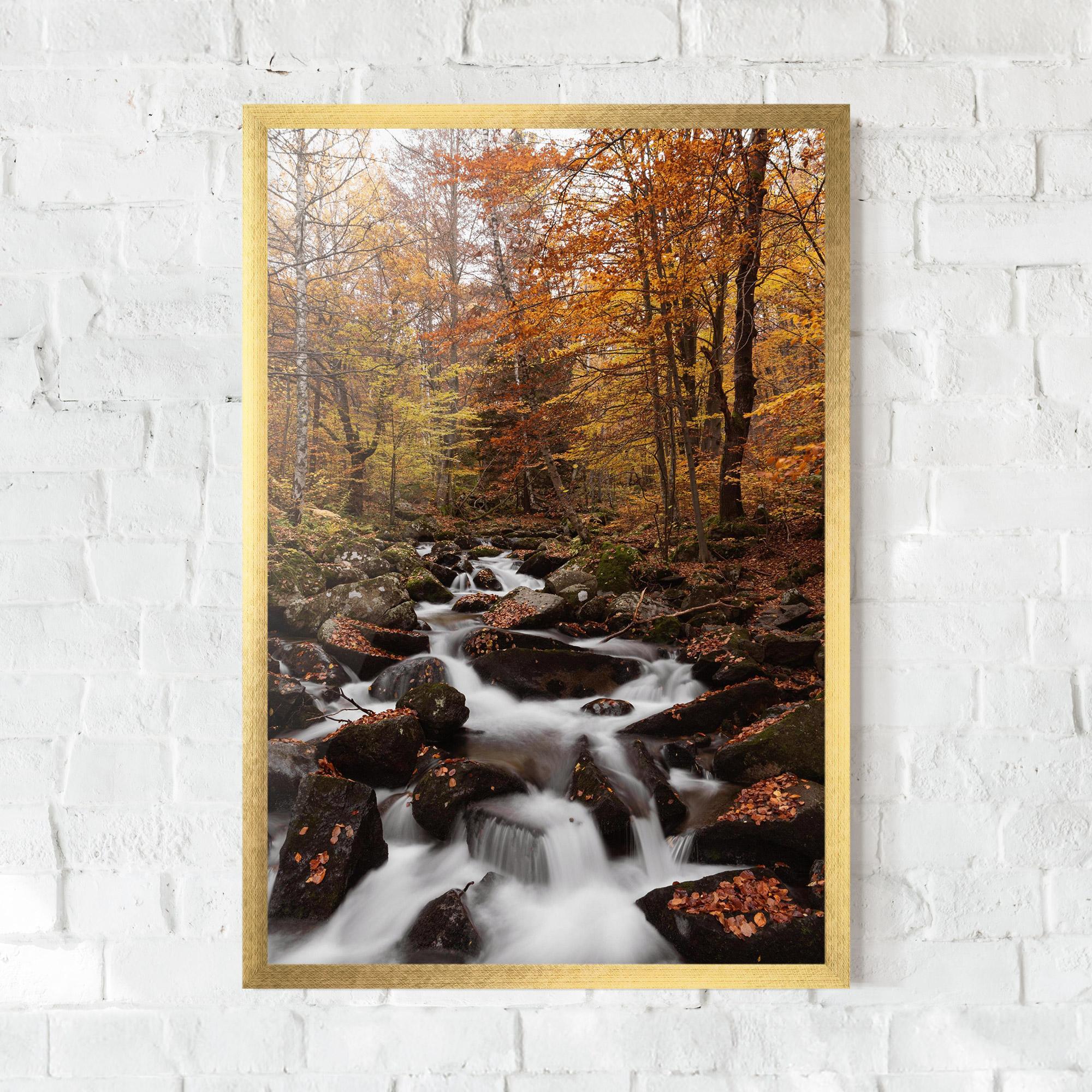 Poster Înrămat River Forest View mockup 0