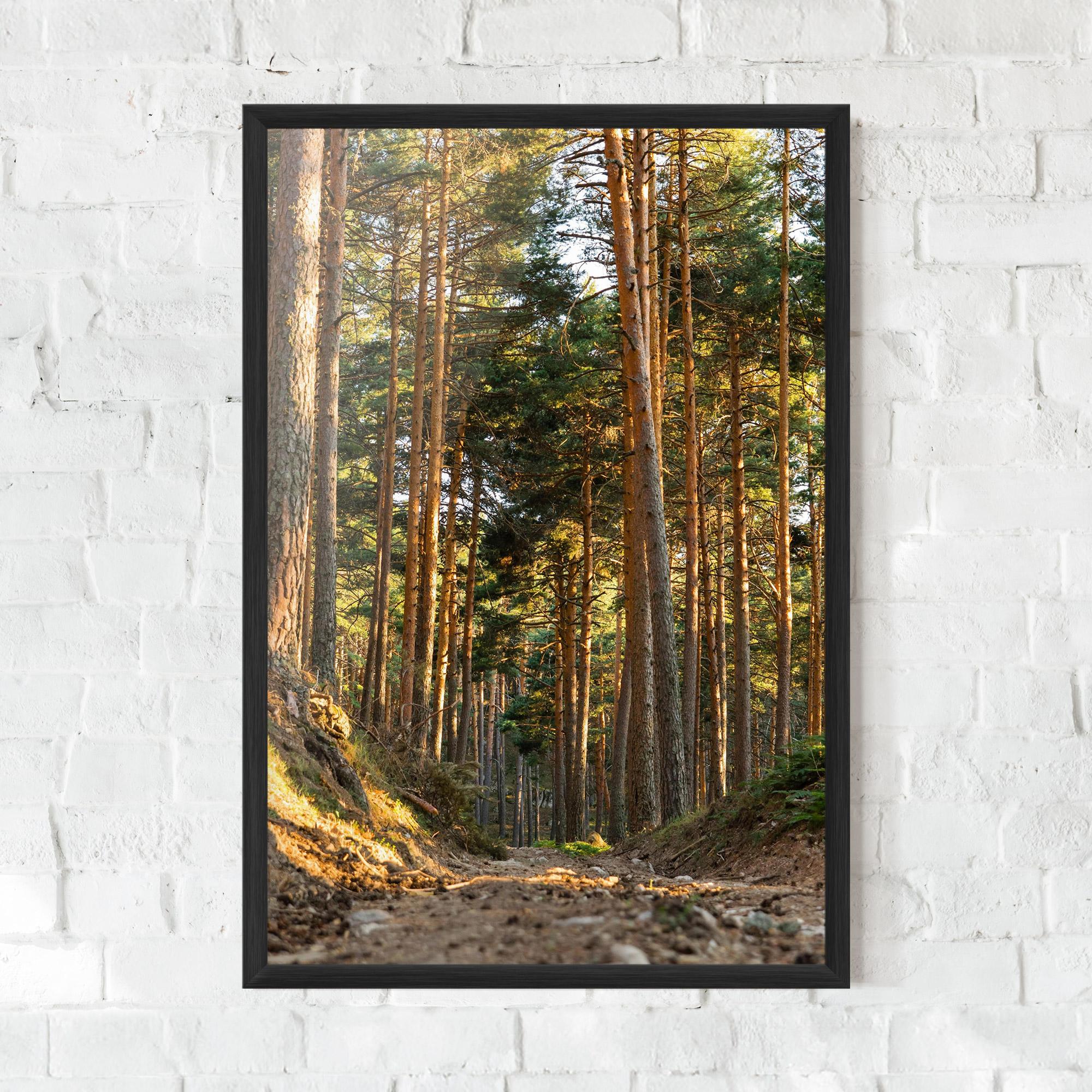 Poster Înrămat Big Trees Forest mockup 0