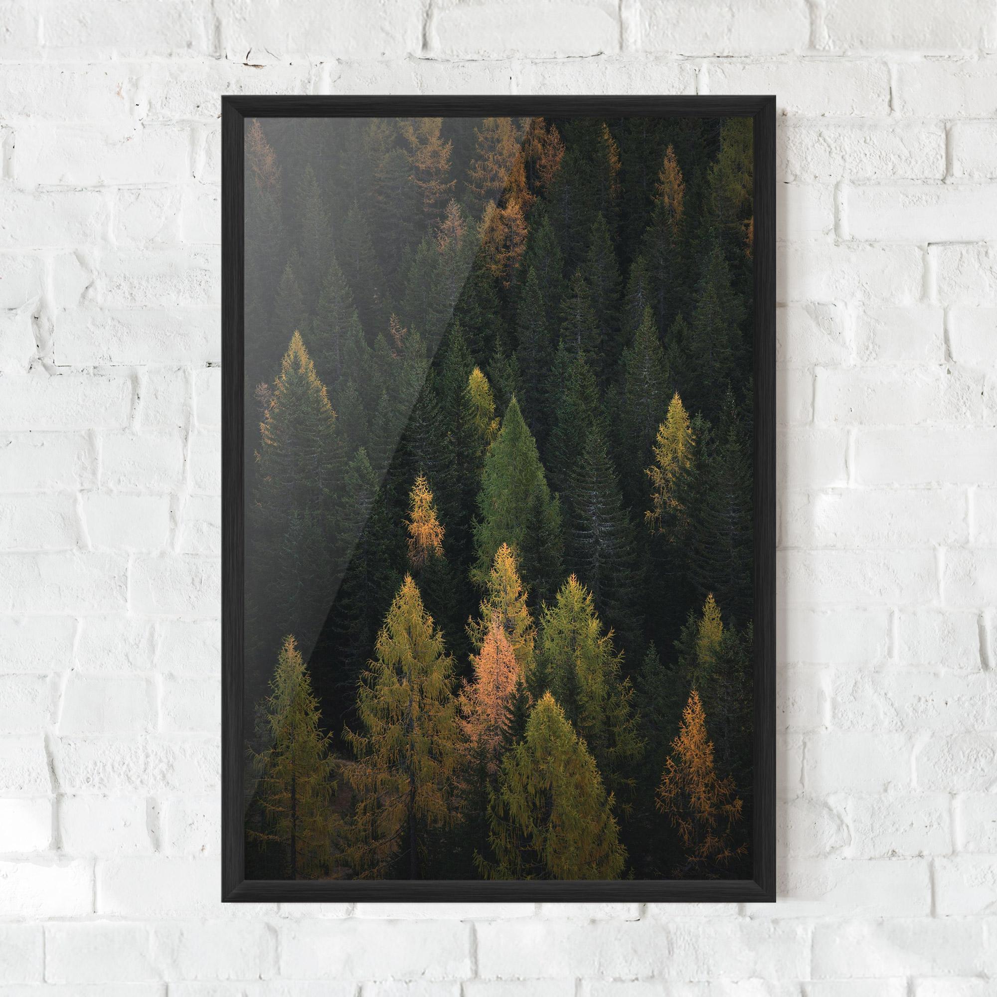 Poster Înrămat Color Mix Tree mockup 0