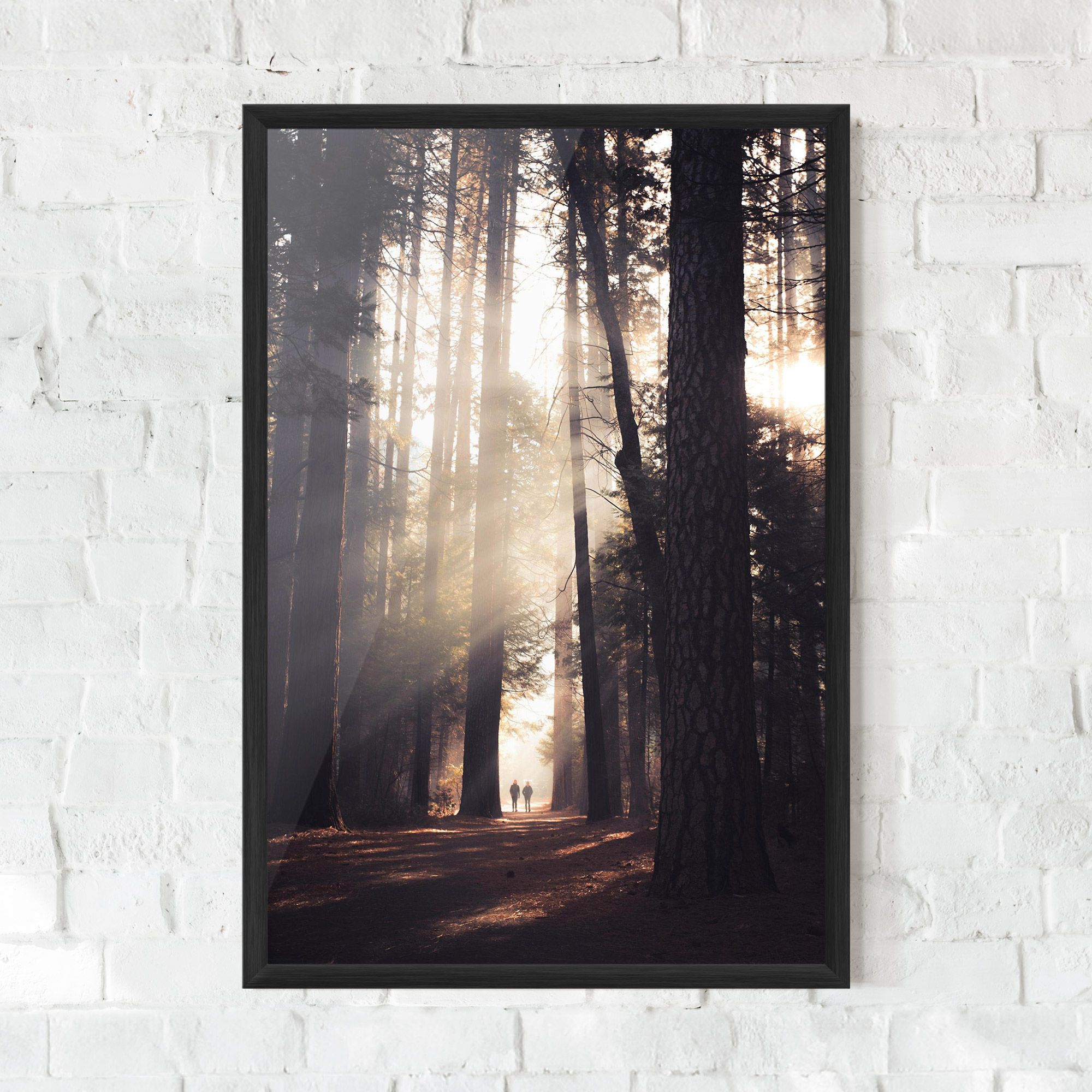 Foggy Couple Forest mockup 0