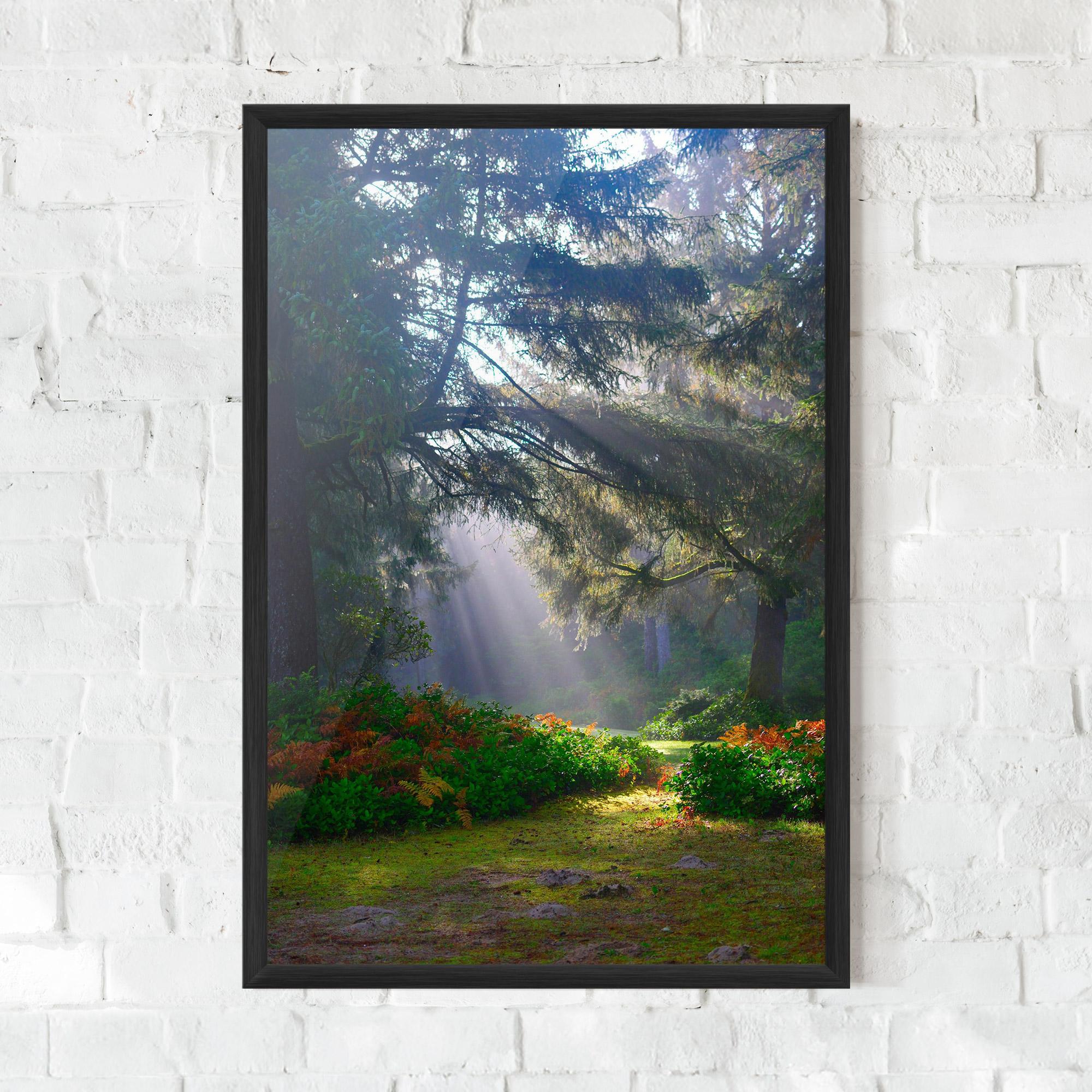 Poster Înrămat Forest Light mockup 0