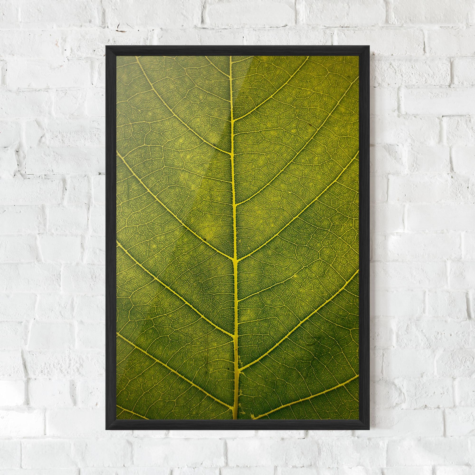 Poster Înrămat Leaf Closeup Forest mockup 0