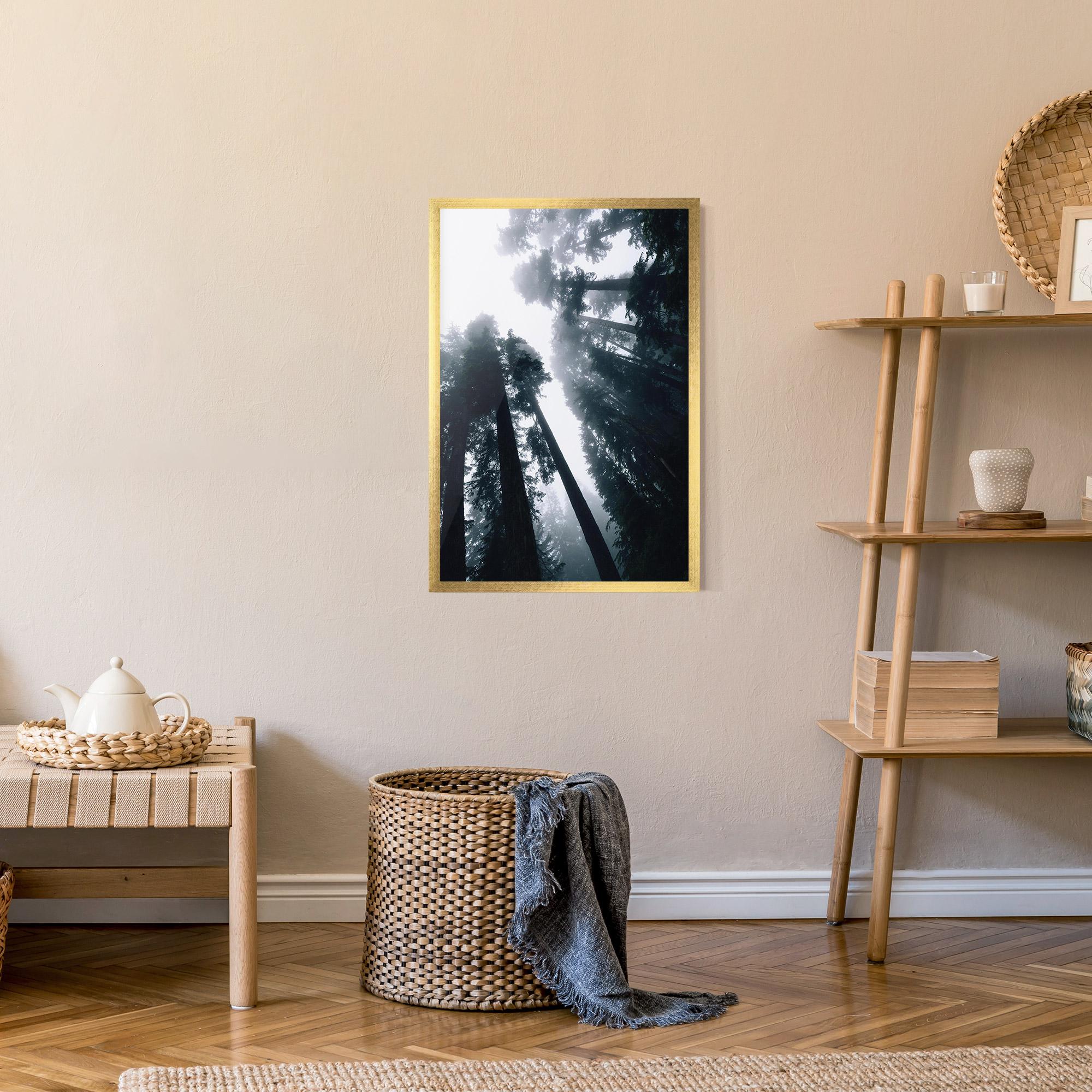 Poster Înrămat Foggy Big Trees mockup 9