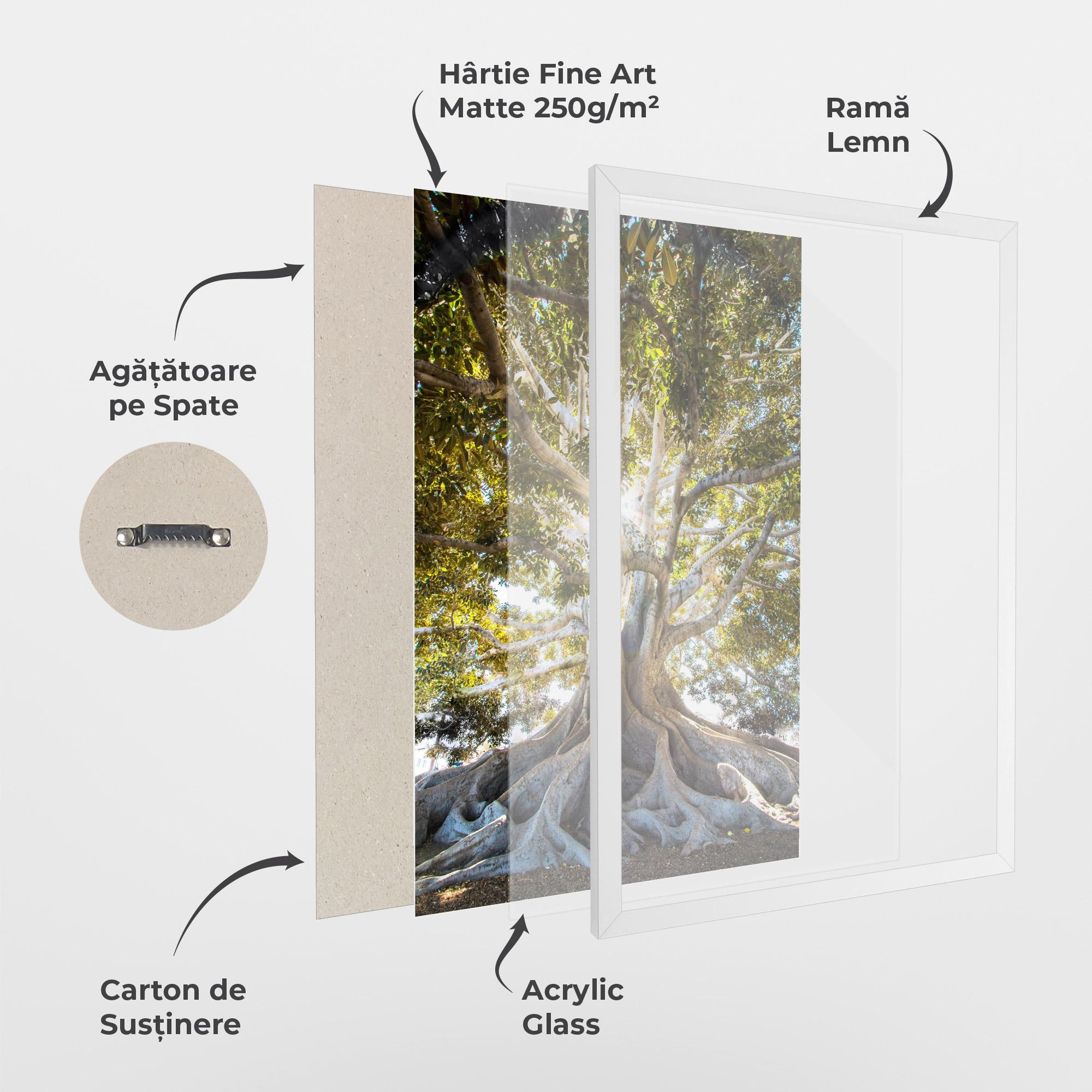 Poster Înrămat Big Old Tree mockup 1