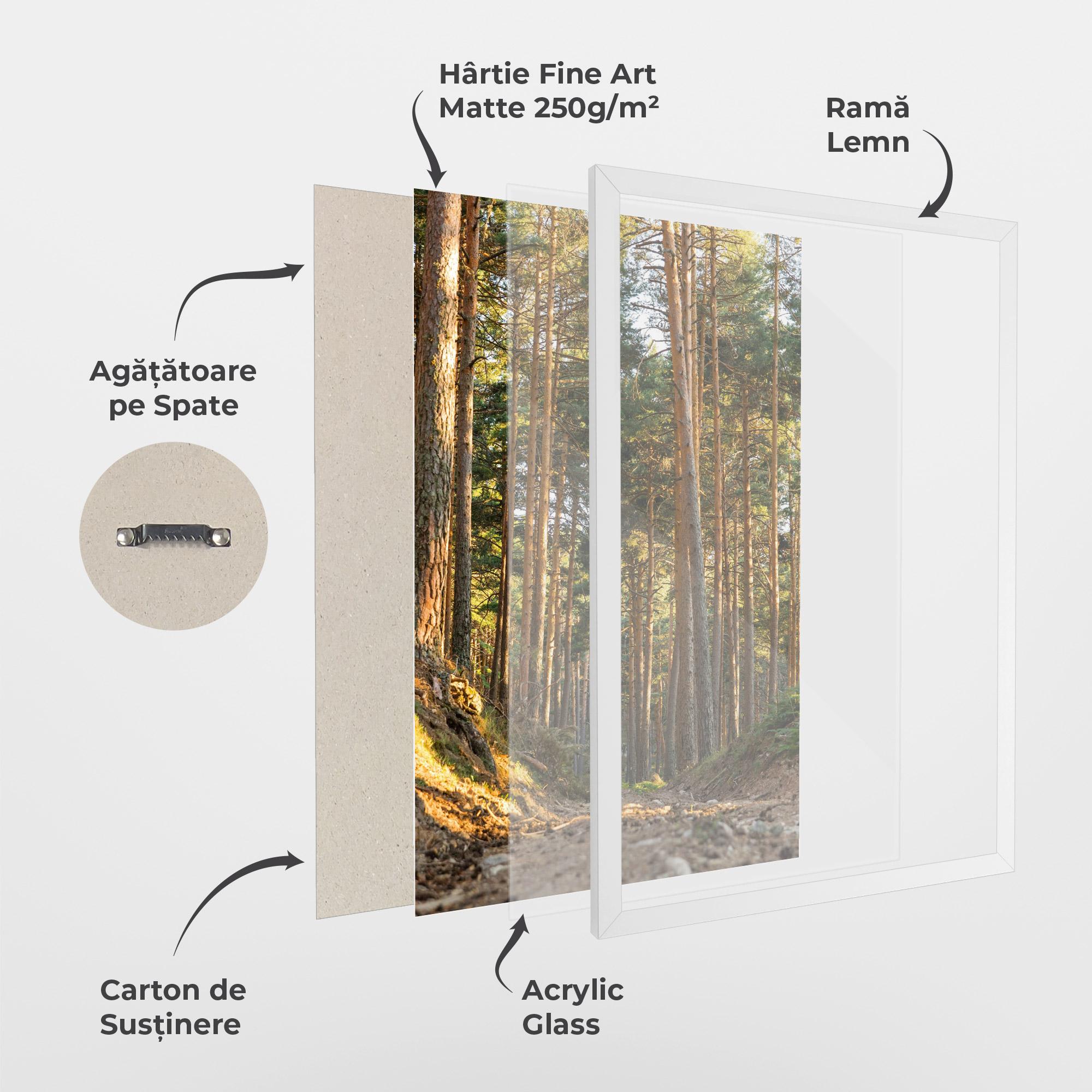 Poster Înrămat Big Trees Forest mockup 1