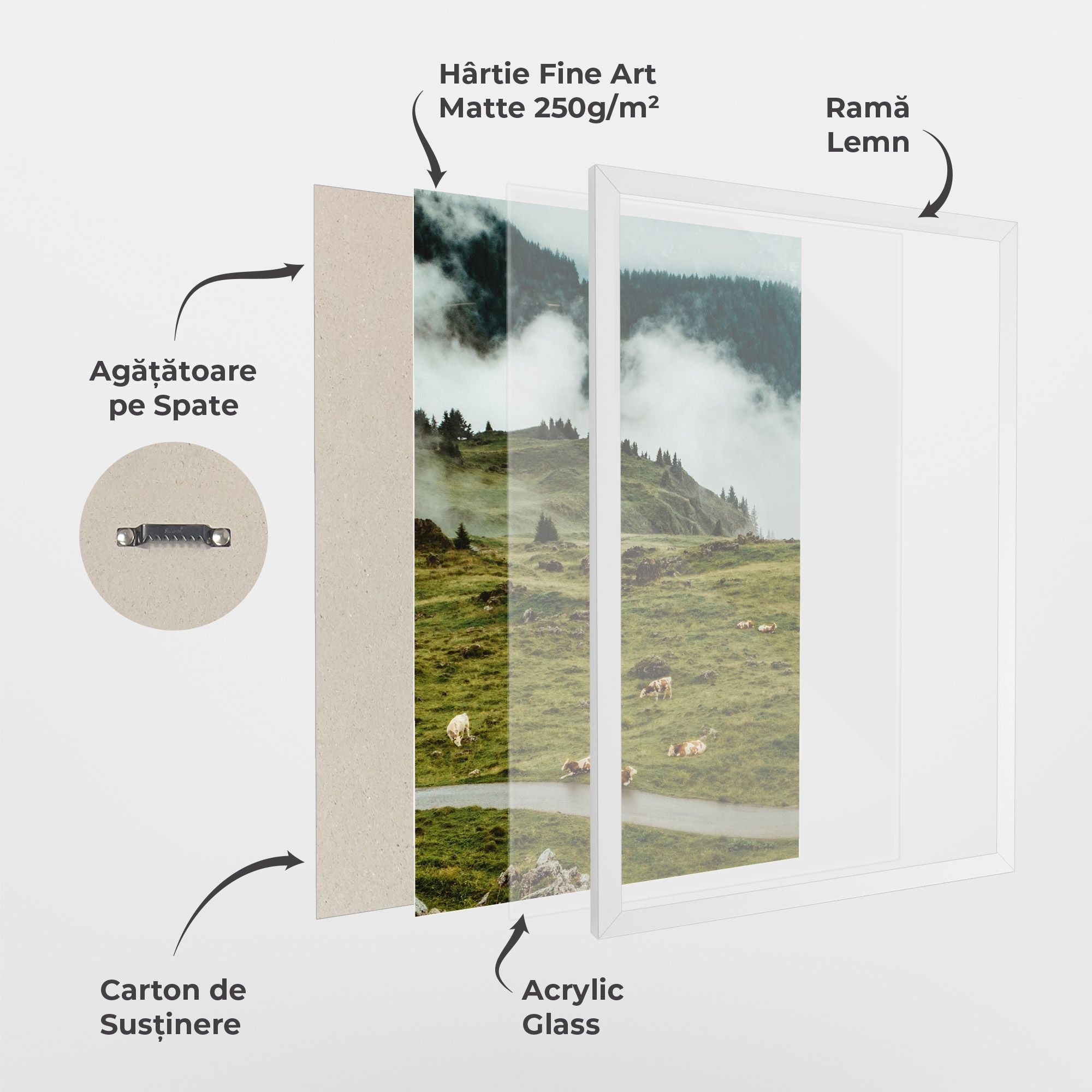 Cow Field View mockup 1