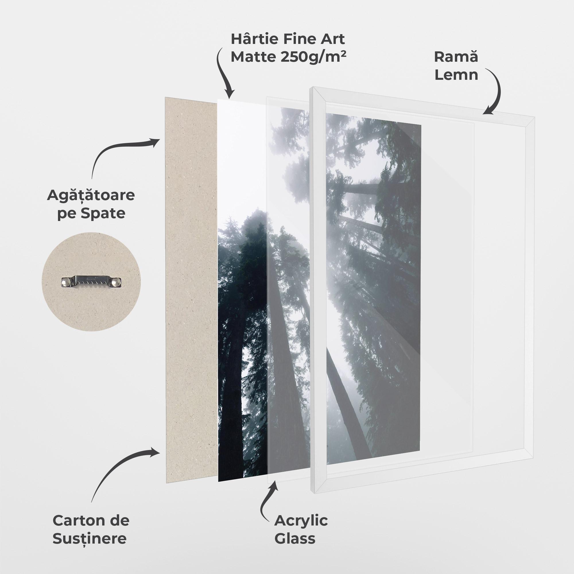 Poster Înrămat Foggy Big Trees mockup 1