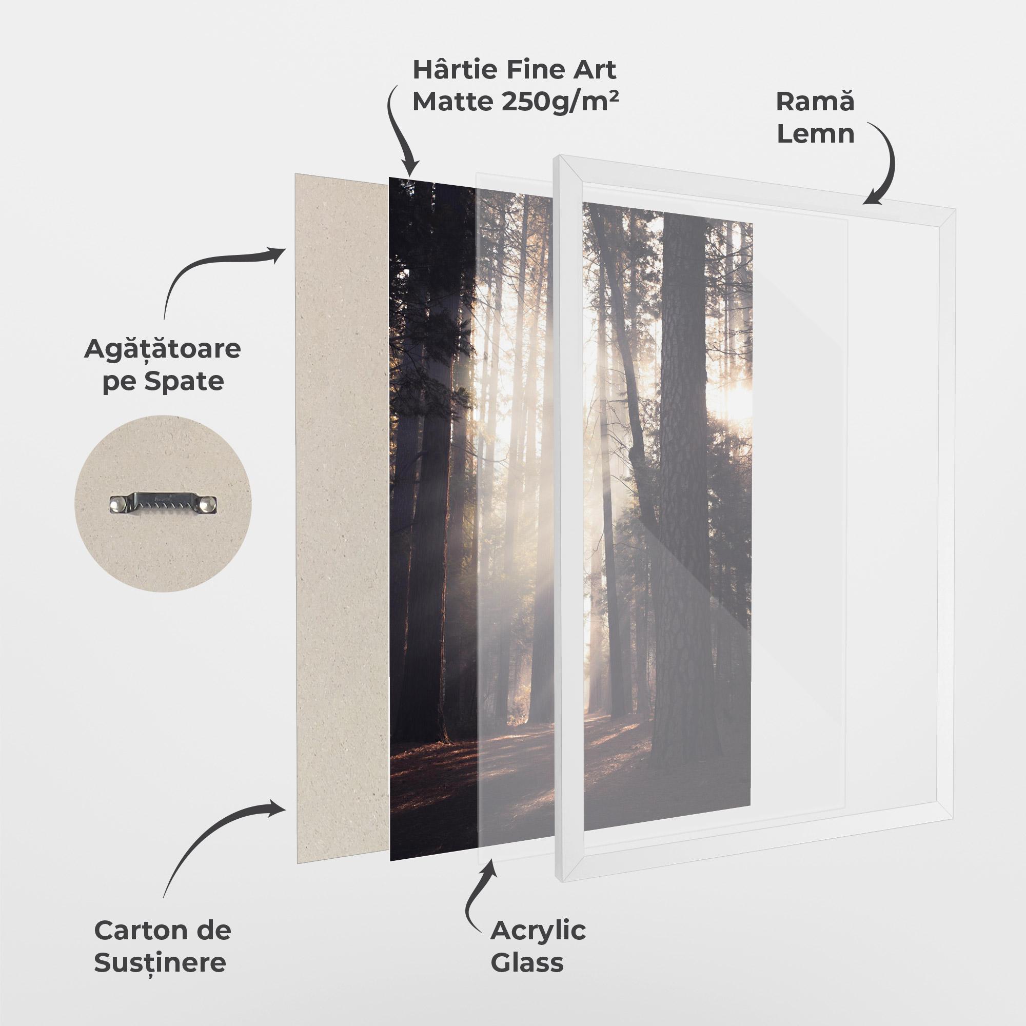 Poster Înrămat Foggy Couple Forest mockup 1