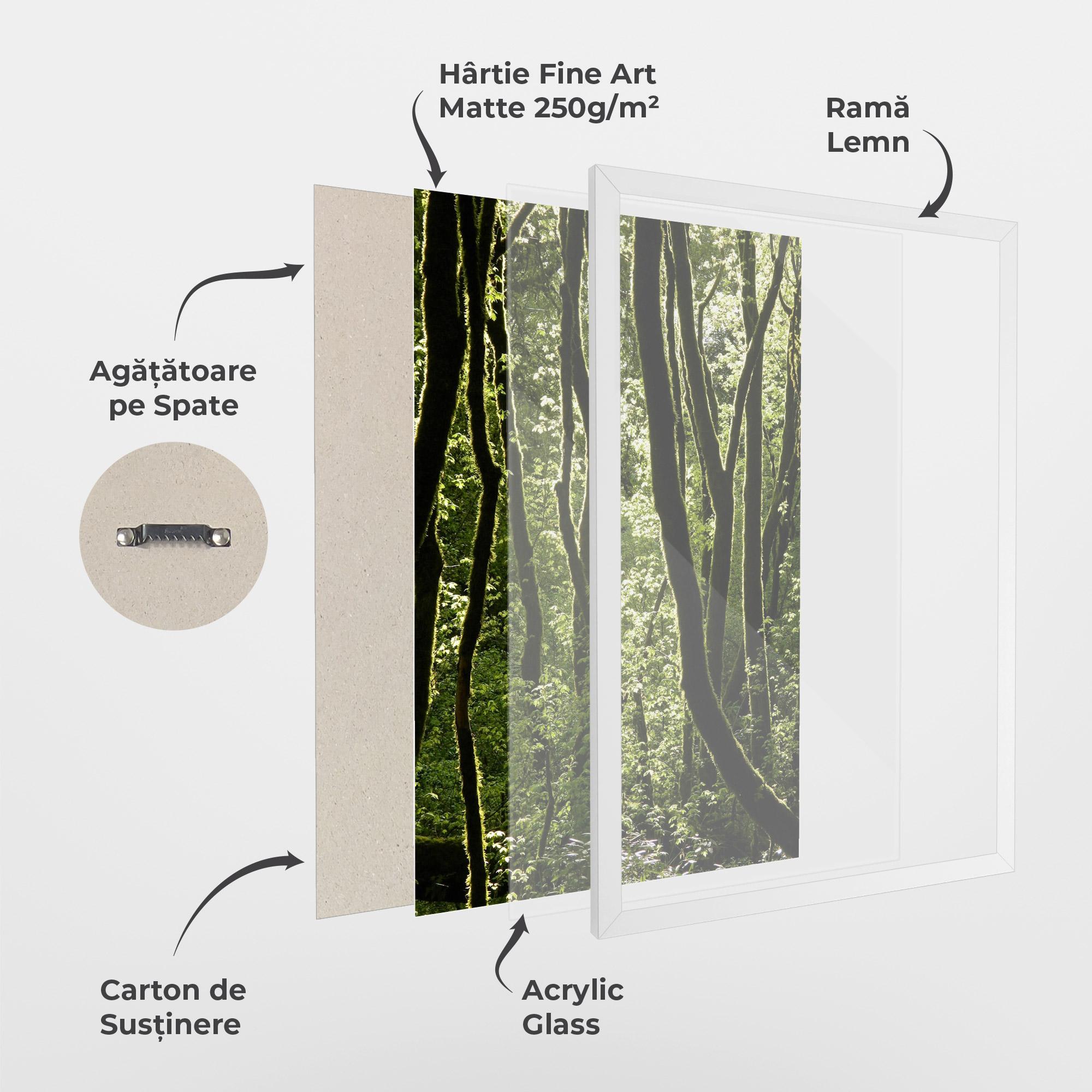 Poster Înrămat Forest Black Trees mockup 1