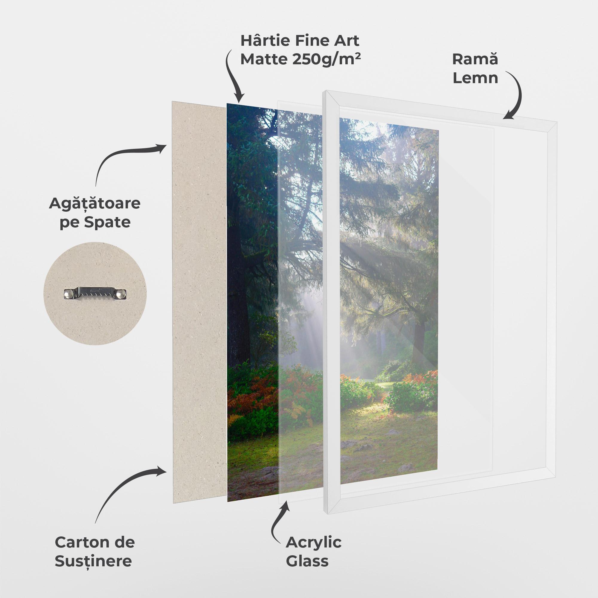 Poster Înrămat Forest Light mockup 1
