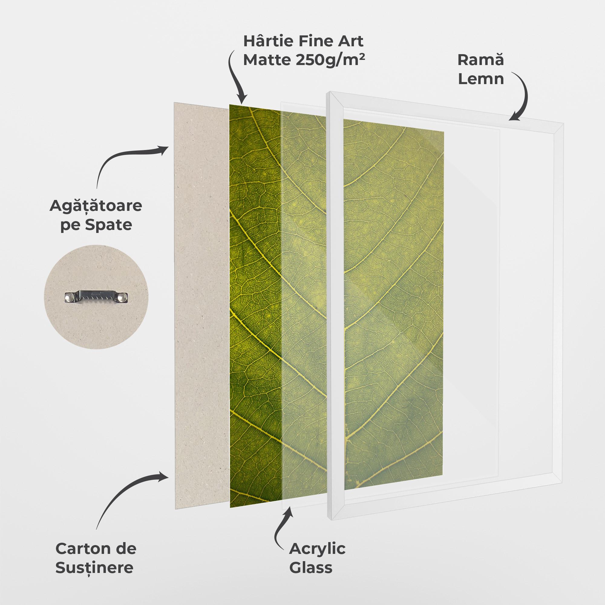 Poster Înrămat Leaf Closeup Forest mockup 1