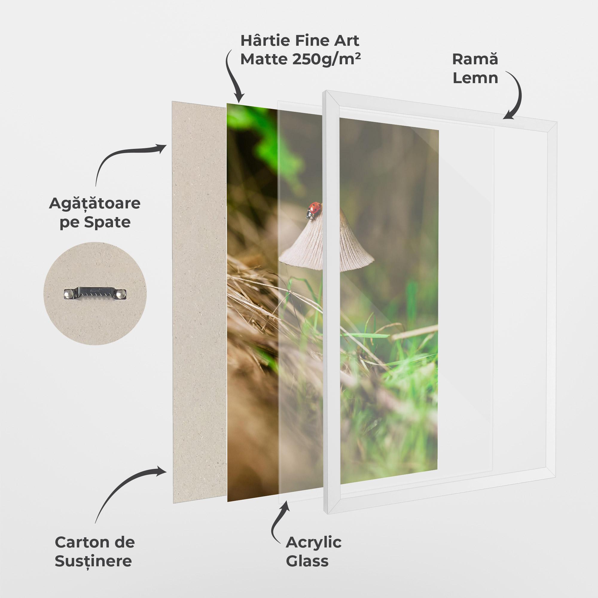 Poster Înrămat Mushroom Forest mockup 1