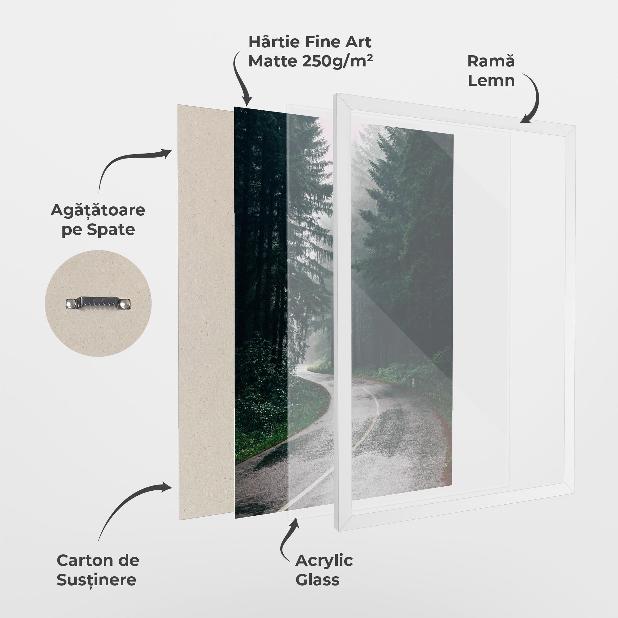 Poster Înrămat Rainy Road Forest mockup 1