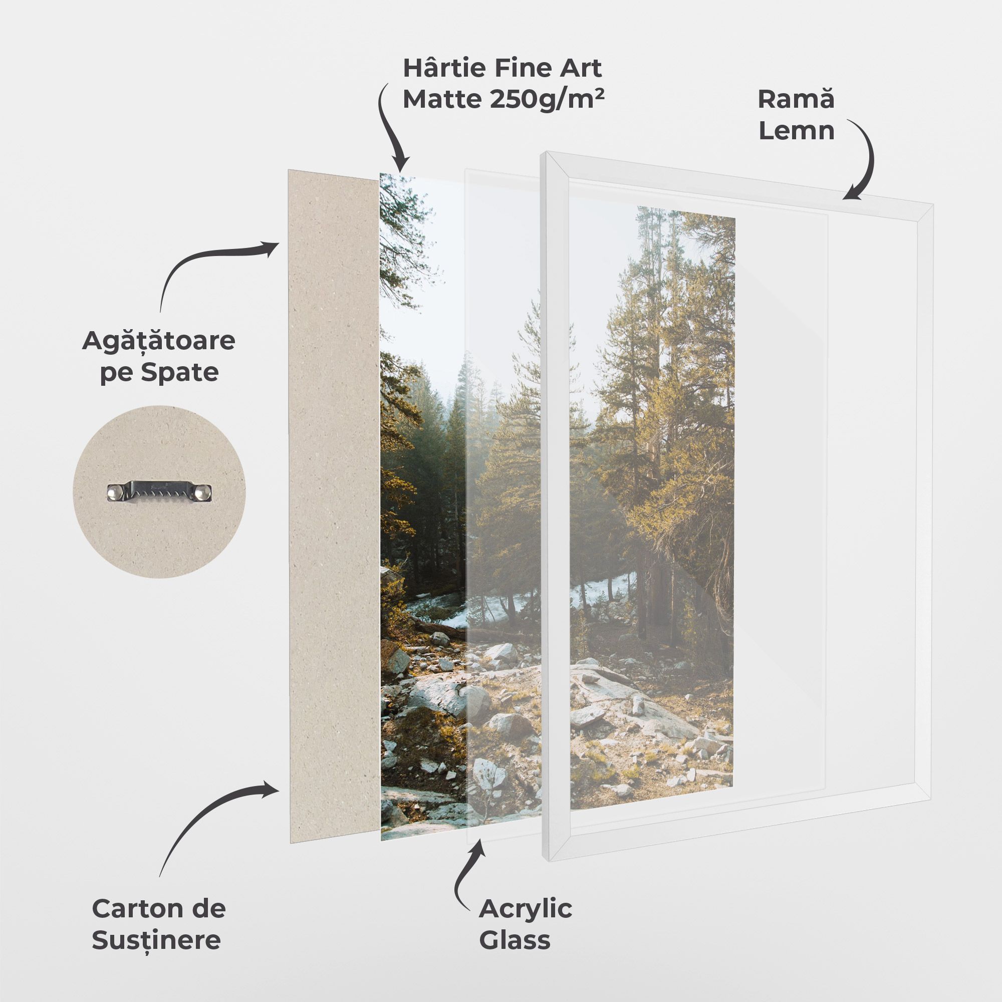 Rock Forest View mockup 1