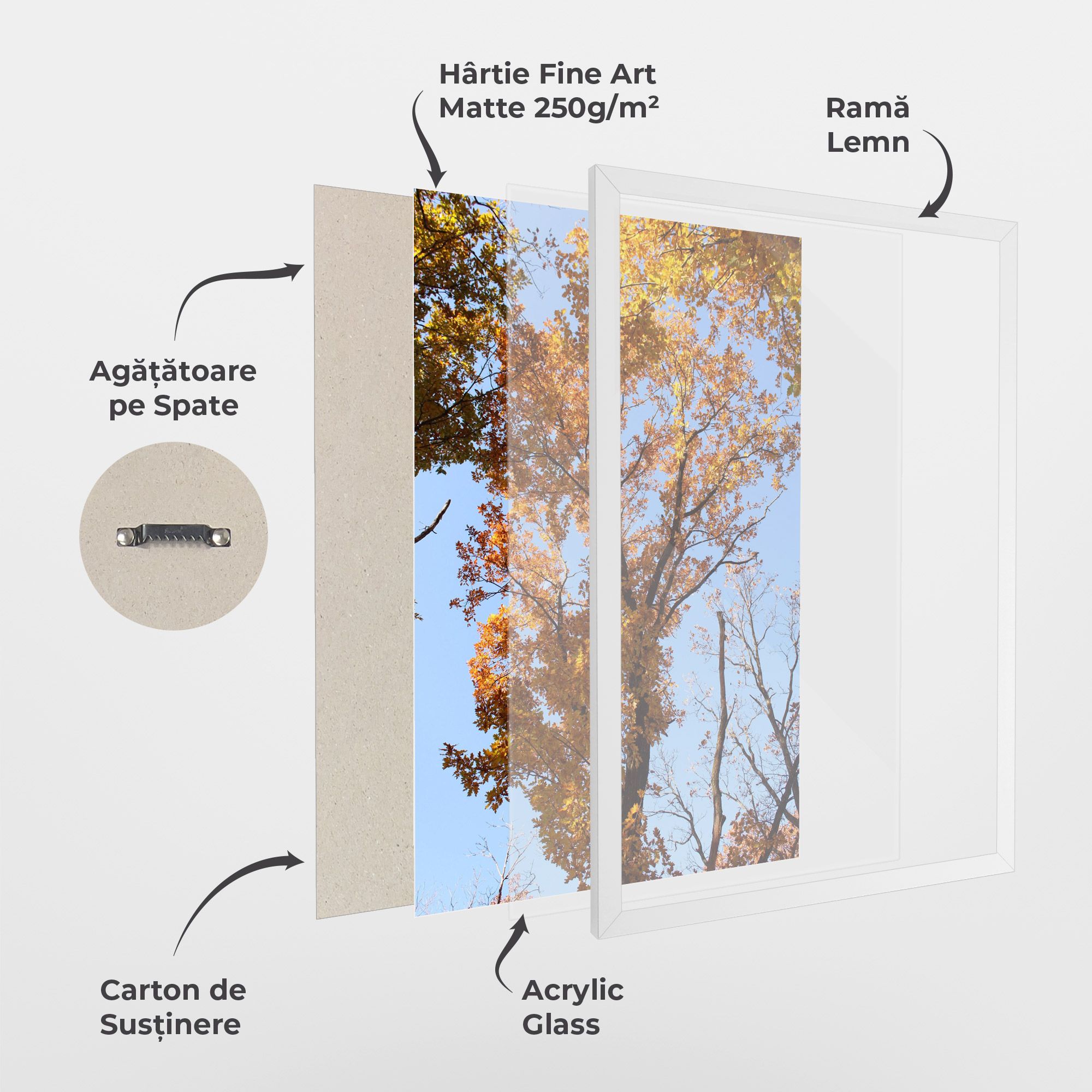 Yellow Tree Forest mockup 1