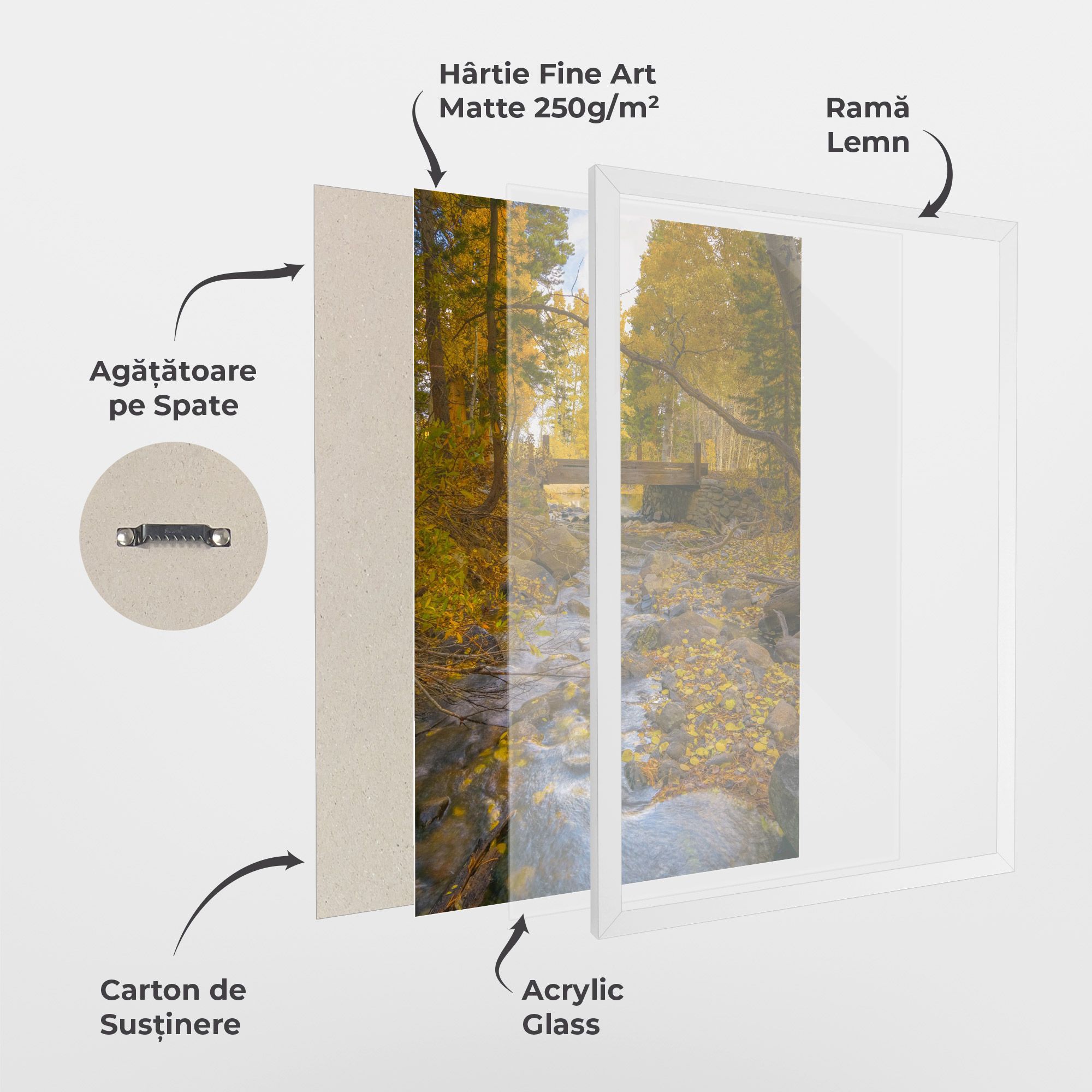 Yellow View Forest mockup 1